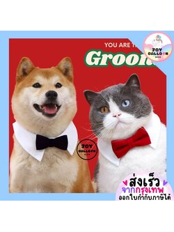 ปลอกคอ ทักซิโด้ พร้อบถ่ายรูปสัตว์เลี้ยง แมว สุนัข น้องหมา พร้อบถ่ายรูปแต่งงาน Happy Wedding (ส่งเร็วจากกุรงเทพ) หูกระต่าย