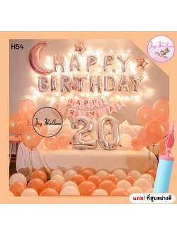 ลูกโป่งวันเกิด Happy Birthday โทนสีสีพิ้งค์โกลด์ ไฟ LED 10 เมตร (ส่งเร็วจากกรุงเทพ) ครบชุด แถมฟรีที่สูบลม เปลี่ยนตัวเลข และโทนสีได้