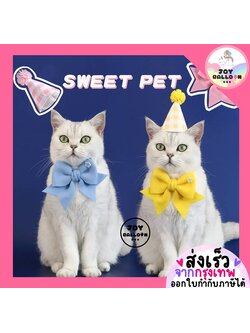 ปลอกคอสัตว์เลี้ยง หมวกวันเกิดน้องแมว HBD พร้อบถ่ายรูปแมว หมา สัตว์เลี้ยง พร้อบถ่ายรูปวันเกิด Happy Birthday Party (ส่งเร็วจากกุรงเทพ)