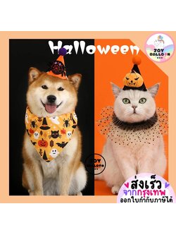 หมวกสัตว์เลี้ยง หมวกแมว หมวกน้องหมา หมวกคริสต์มาสสัตว์เลี้ยง พร้อบถ่ายรูปแมว หมา (ส่งเร็วจากกุรงเทพ) Merry Christmas สำเนา