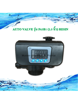 ตัวควบคุม คอนโทรลวาล์ว Auto Valve รุ่น F63B1 (2.5 นิ้ว) Resin