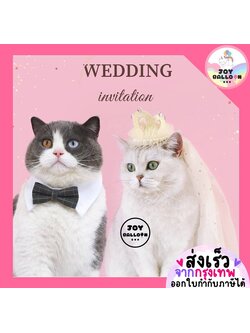 พร้อบถ่ายรูปสัตว์เลี้ยง แมว สุนัข น้องหมา พร้อบถ่ายรูปแต่งงาน มงกุฎเจ้าหญิง Happy Wedding (ส่งเร็วจากกุรงเทพ) งานแต่งแมว หูกระต่าย