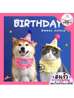 หมวกวันเกิดน้องแมว HBD พร้อบถ่ายรูปแมว หมา สัตว์เลี้ยง พร้อบถ่ายรูปวันเกิด Happy Birthday Party มี 2 สี (ส่งเร็วจากกุรงเทพ)