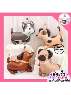ลูกโป่งน้องหมา ลูกโป่งสุนัข (ส่งเร็วจากกรุงเทพ) ลูกโป่งไซบีเรียน ปั๊ก ดัชชุน ดัลเมเชี่ยน ลูกโป่งน้องหมาปาร์ตี้ ตกแต่งงานวันเกิด ปาร์ตี้