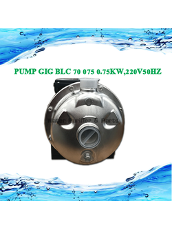 PUMP GIG BLC 70 075 0.75KW,220V50HZ