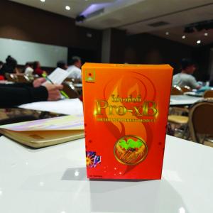 โปร-เอ็กบี Pro-xB สำหรับเส้นเลือดตีบ ภูมิคุ้มกันน้อย นอนไม่หลับ ของแท้ 100% มี อย. (1 กล่อง 30 เม็ดใหญ่)