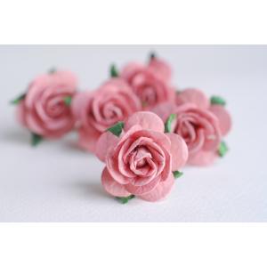 ดอกกุหลาบ CMR5-4 ขนาด 2.5 cm.