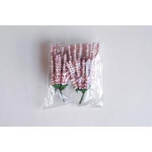 Lavender ดอกลาเวนเดอร์