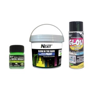 สีเรืองแสง Glow Paint