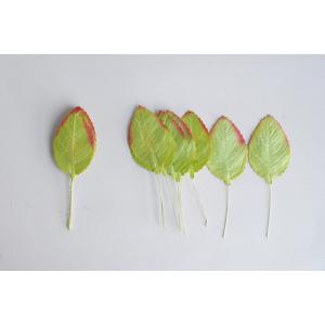 ใบไม้ Leaves