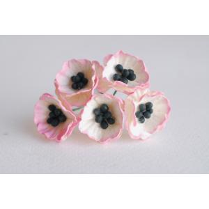 ดอกป๊อปปี้ poppy