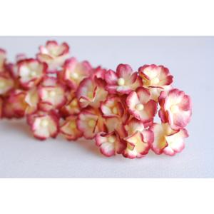 ดอกไม้ไฮเดรนเยีย Hydengea