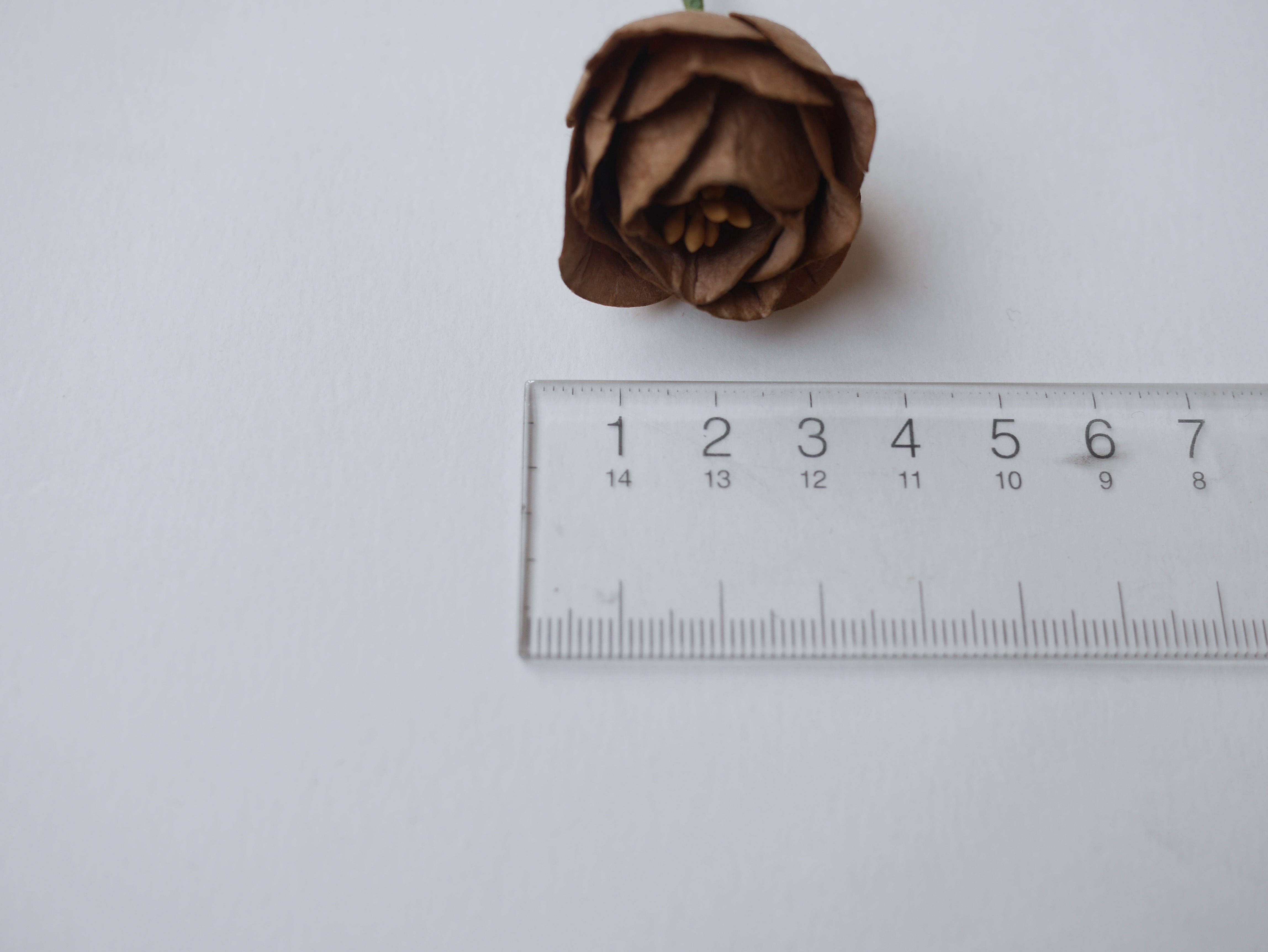 ดอกไม้กระดาษสา ดอกโลตัสอินโดนิเซียกระดาษ ดอกไม้กระดาษสาราคาส่ง ดอกไม้กระดาษสำหรับตกแต่งของชำร่วย งานแต่งงาน ทำช่อดอกไม้ติดอกเจ้าบ่าว ข้อมือดอกไม้เจ้าสาว ขนาด 4.5 cm. 20 ดอก สีน้ำตาลโกโก้ Paper flowers supplies: DIY wedding tools, Lotus with pollens.