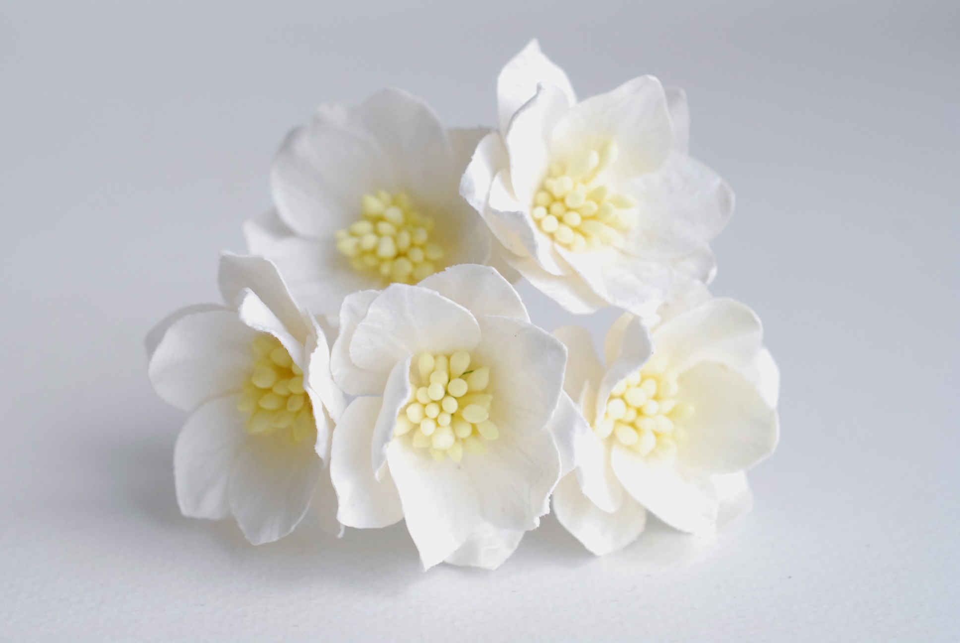 ดอกไม้กระดาษสา ดอกโลตัสอินโดนิเซียกระดาษ ดอกไม้กระดาษสาราคาส่ง ดอกไม้กระดาษสำหรับตกแต่งของชำร่วย งานแต่งงาน ทำช่อดอกไม้ติดอกเจ้าบ่าว ข้อมือดอกไม้เจ้าสาว ขนาด3.5 cm. 25 ดอก สีออฟไวท์ Paper flowers supplies: DIY wedding tools Big Cherry blossom