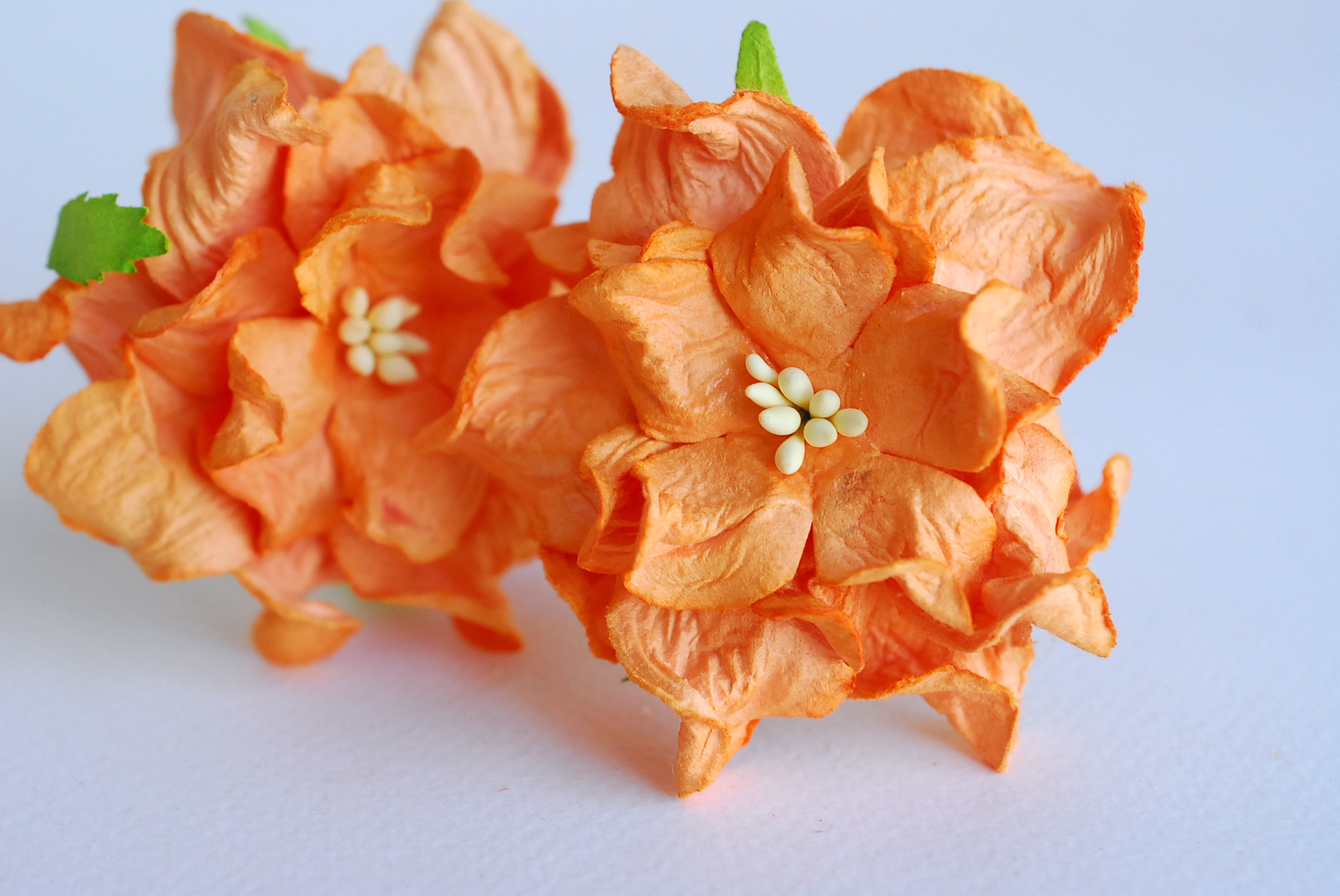 ดอกไม้กระดาษสา ราคาส่ง, ดอกการเดนเนียกระดาษสา ดอกไม้ประดิษฐ์ ตกแต่งงานแต่งงาน ประดิษฐ์ข้อมือเพื่อนเจ้าสาว ขนา่ด 5.5 cm., สำหรับของชำร่วย, งานแต่งงาน, ดอกไม้ทำข้อมือเจ้าสาว สีส้ม จำนวน 25 ดอก Paper flower,25 Pieces mulberry gardenia flowers supplies