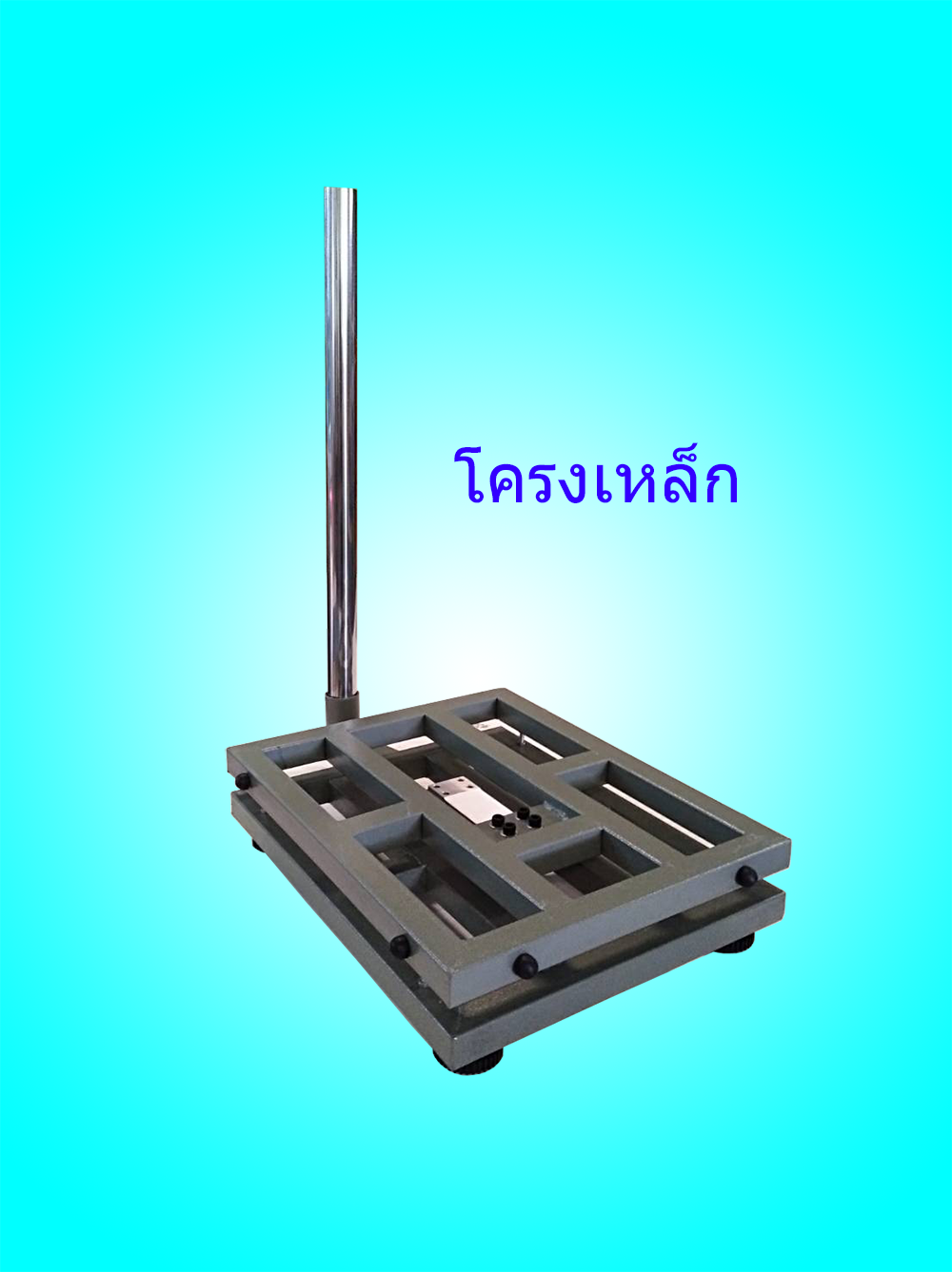 แท่นชั่งน้ำหนัก รุ่น WI-P (หัวอ่านที่มีปริ้นท์เตอร์ในตัว) ปรินเตอร์เป็นแบบ DOT MATRIX โครงแท่นเหล็กและสแตนเลส