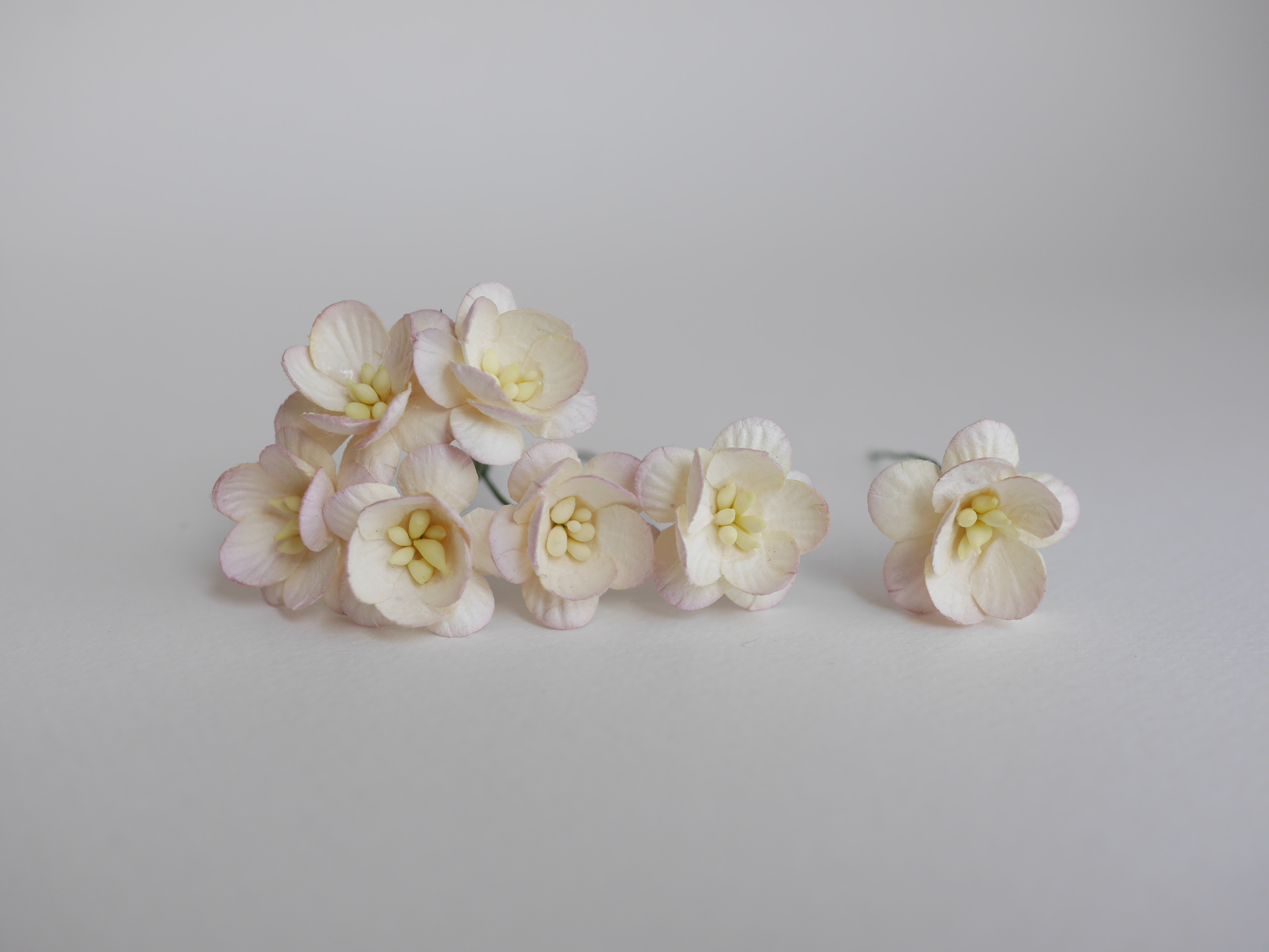 ดอกไม้กระดาษสา ดอกซากุระกระดาษ ดอกไม้กระดาษสาราคาส่ง ดอกไม้กระดาษสำหรับตกแต่งของชำร่วย งานแต่งงาน ทำช่อดอกไม้ติดอกเจ้าบ่าว ข้อมือดอกไม้เจ้าสาว ขนาด2.5 cm. 50 ดอก สีม่วงชมพูอ่อนปัดขาว Paper flowers supplies: DIY wedding tools Cherry blossom (Sakura) 50 pcs