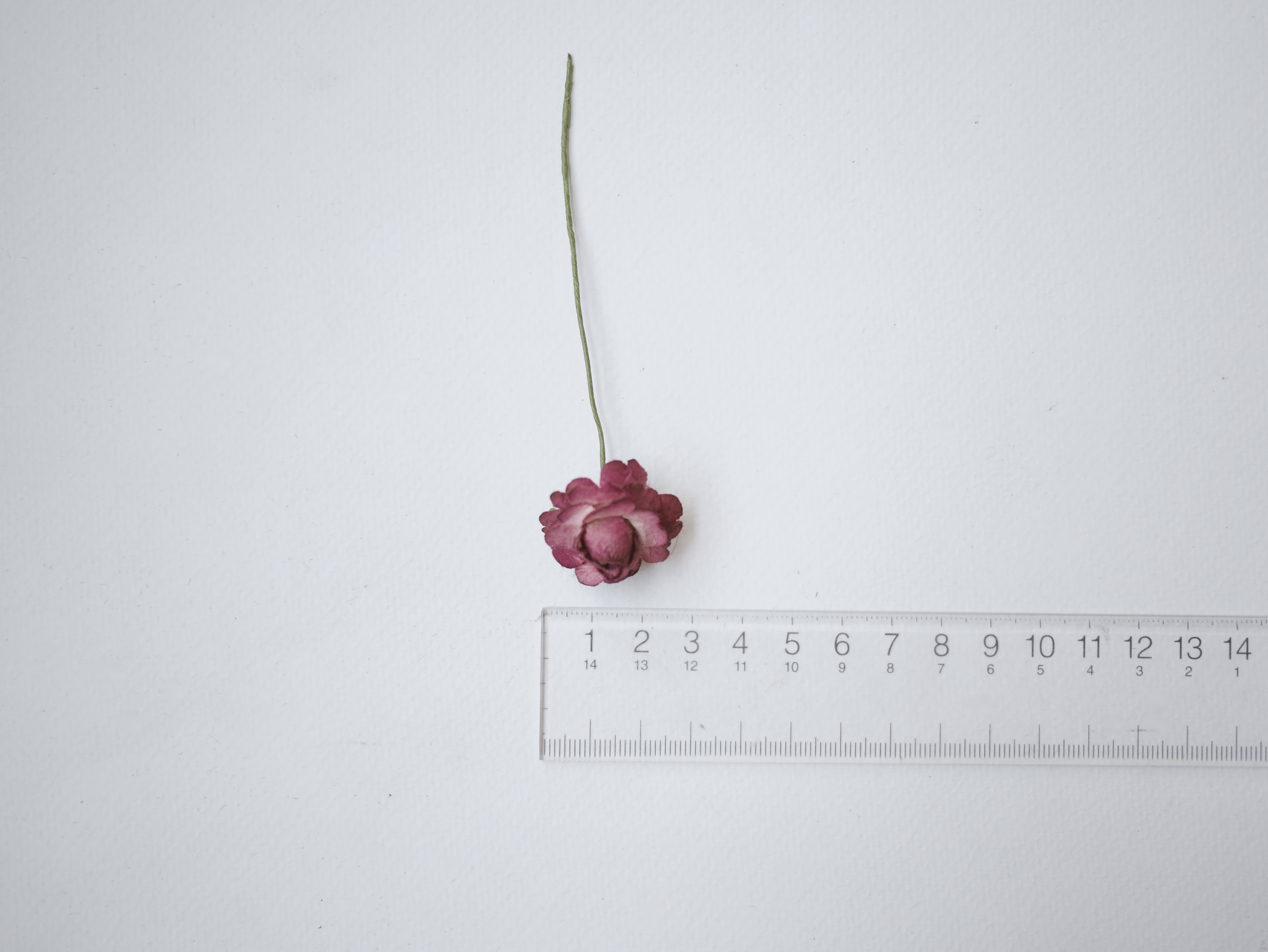 ดอกไม้กระดาษสา, ดอกไม้ตกแต่ง, ของชำร่วย, ดอกกุหลาบ สีเลือดหมู จำนวน 10 ดอก Paper flower, English peony Ranunculus roses 10 pcs., size 3 cm., burgundy color.