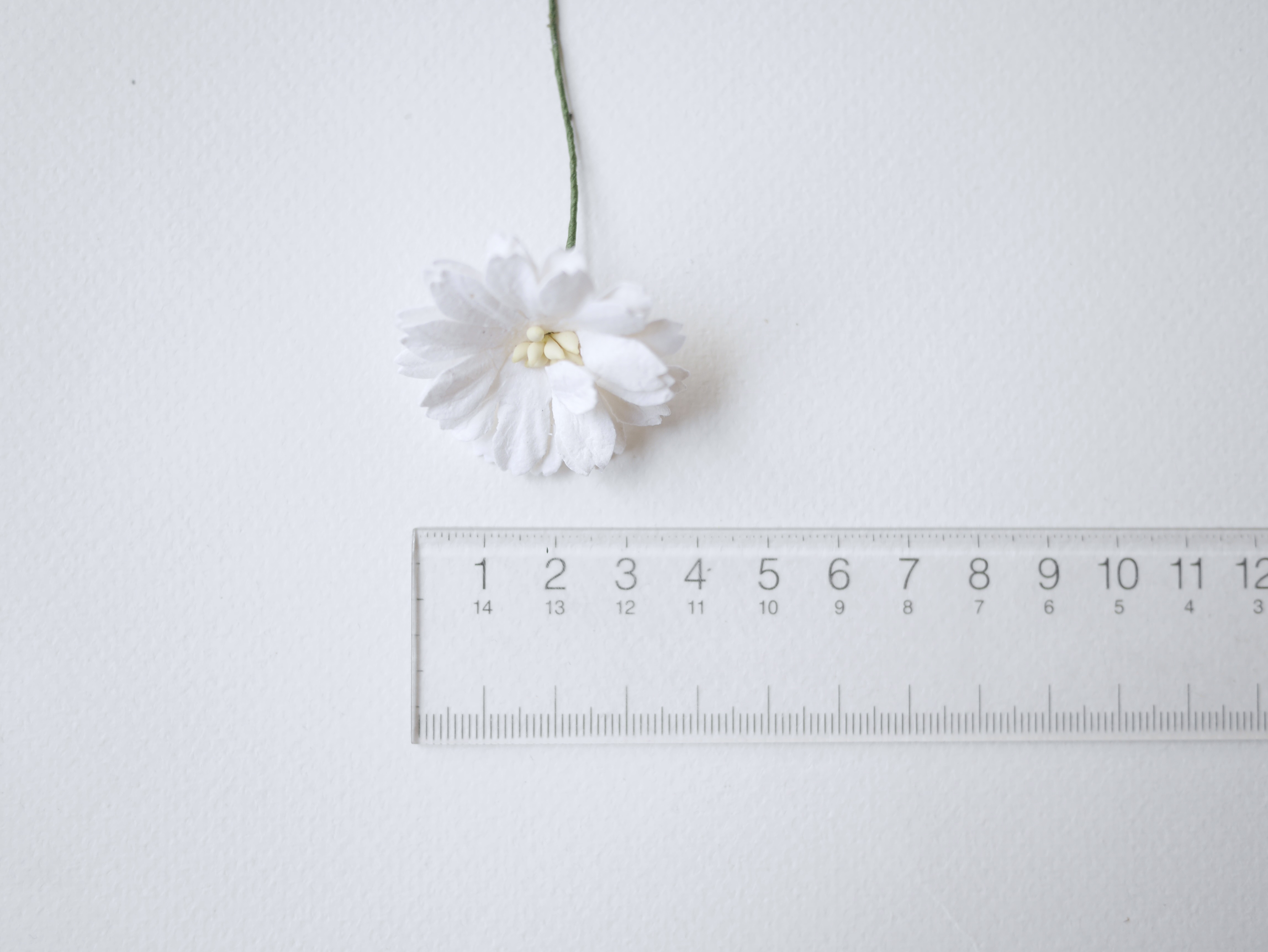 ดอกไม้กระดาษสา ดอกไม้ประดิษฐ์จากกระดาษสา ดอกเดซี่ ดอกไม้กระดาษสาขายส่ง ดอกไม้ประดิษฐ์ ดอกไม้ทำข้อมือเพื่อนเจ้าสาว ดอก daisy ขนาด 3.5 cm. จำนวน 25 ดอก สีขาว Paper Flower, 25 Daisy Flowers, ivory color, size 4.5 cm., white pollen.