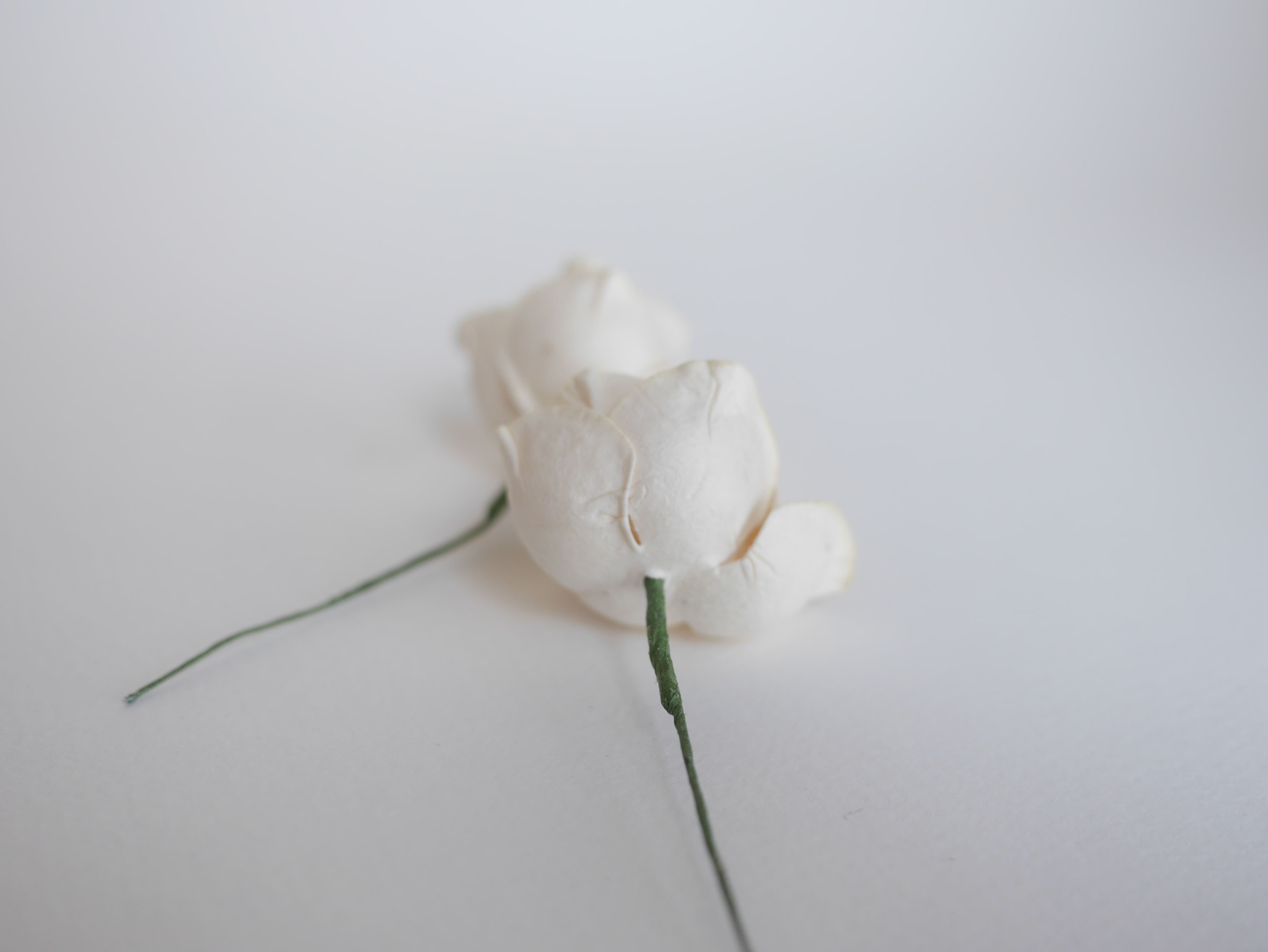 ดอกไม้กระดาษสา ดอกโลตัสอินโดนิเซียกระดาษ ดอกไม้กระดาษสาราคาส่ง ดอกไม้กระดาษสำหรับตกแต่งของชำร่วย งานแต่งงาน ทำช่อดอกไม้ติดอกเจ้าบ่าว ข้อมือดอกไม้เจ้าสาว ขนาด4.5 cm. 20 ดอก สีงาช้าง Paper flowers supplies: DIY wedding tools, Lotus with pollens.