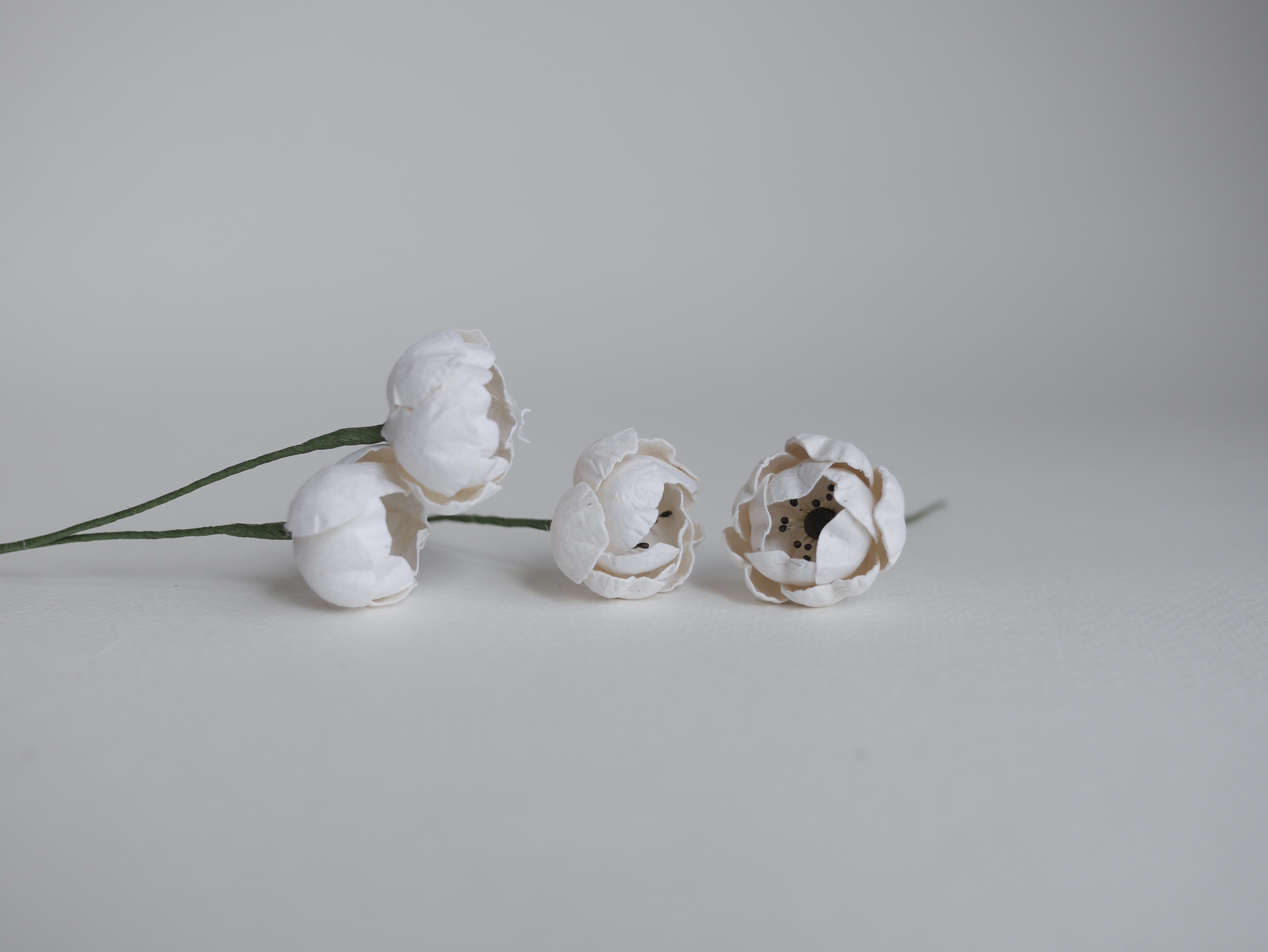 ดอกกุหลาบกระดาษสา peony ดอกไม้กระดาษสาราคาส่ง, ดอกไม้กระดาษ,ดอกไม้ประดิษฐ์ สำหรับตกแต่งของชำร่วย งานแต่งงาน ดอกกุหลาบกลม peony ขนาด 3.5 cm. จำนวน 25 ดอก, สีขาว เกสรสีดำ Paper Flowers, Peony flowers supplies size 3.5cm./ 25 pieces, handmade flower