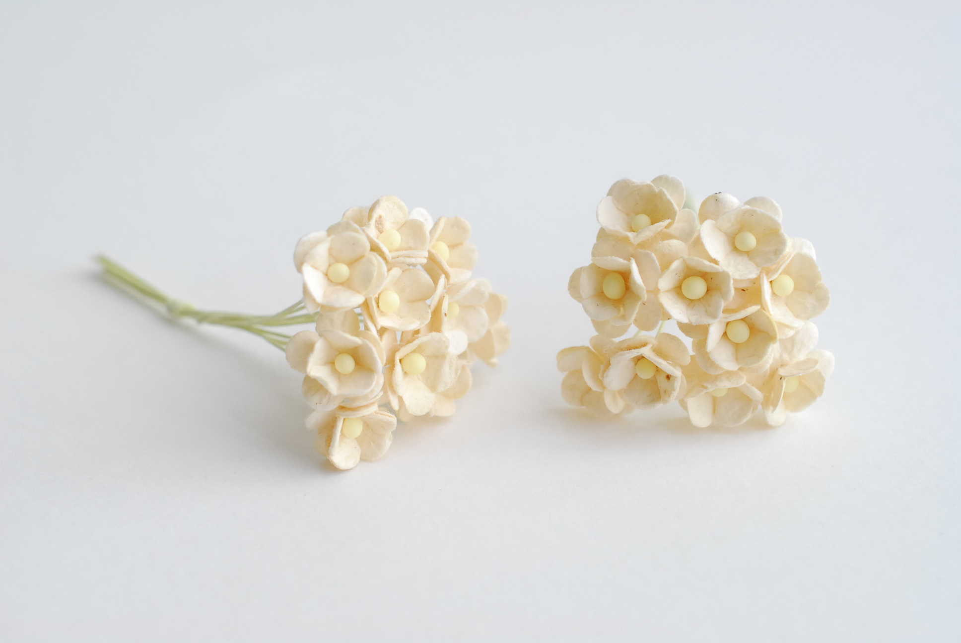 ดอกไม้กระดาษสา ราคาส่ง, ดอกไฮเดรนเยียกระดาษสา ดอกไม้ประดิษฐ์ ตกแต่งงานแต่งงาน ประดิษฐ์ข้อมือ เพื่อนเจ้าสาว ขนาด 1.5 cm., สำหรับของชำร่วย, งานแต่งงาน, ดอกไม้ทำข้อมือเจ้าสาว สีงาช้าง จำนวน 100 ดอก Paper flower,100 Pieces mulberry hydenyia, ivory color