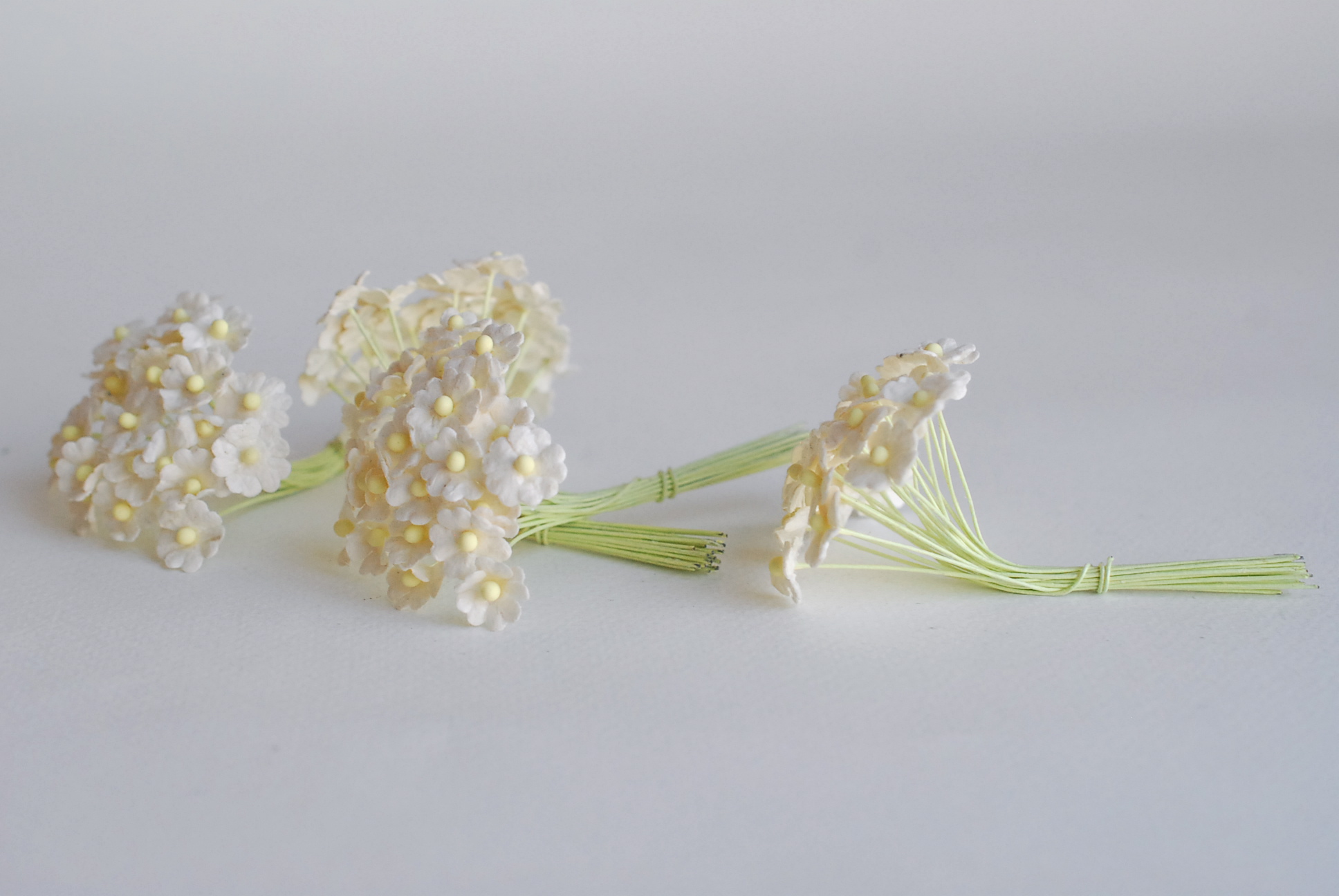 ดอกไม้กระดาษสา ดอกไม้กระดาษสาราคาส่ง ดอกไม้กระดาษสำหรับตกแต่ง งานแต่งงาน หรือติดของชำร่วย ดอกไม้จิ๋ว 100 ดอก ขนาด 1 cm. สีขาว of-white Small Paper Flower with stem, , 100 pcs., size 1 cm., small creeping ladies flowers 1 layer, of-white color.