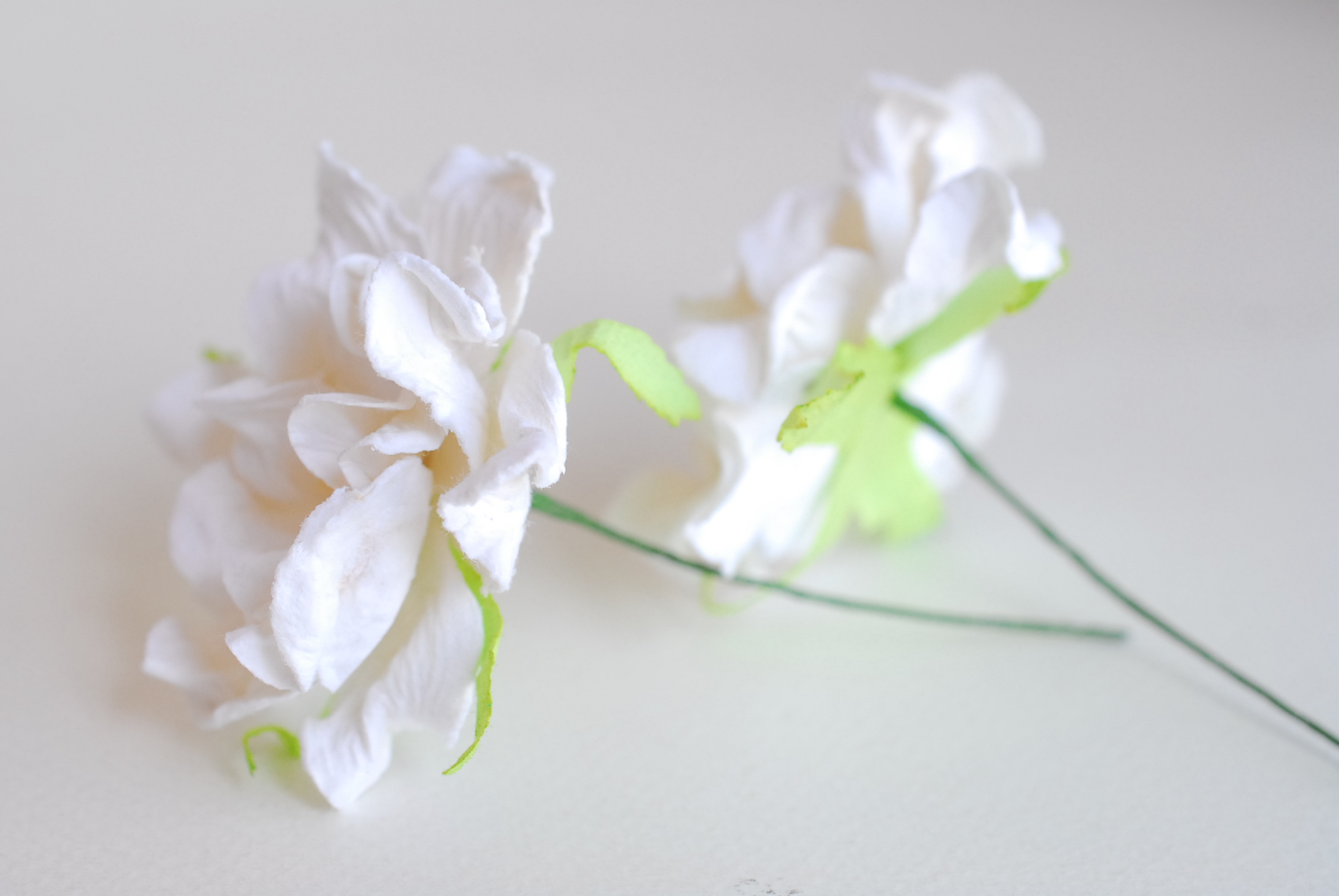 ดอกไม้กระดาษสา ราคาส่ง, ดอกการเดนเนียกระดาษสา ดอกไม้ประดิษฐ์ ตกแต่งงานแต่งงาน ประดิษฐ์ข้อมือเพื่อนเจ้าสาว ขนา่ด 5.5 cm., สำหรับของชำร่วย, งานแต่งงาน, ดอกไม้ทำข้อมือเจ้าสาว สีขาว จำนวน 25 ดอก Paper flower,25 Pieces mulberry gardenia flowers suppiles