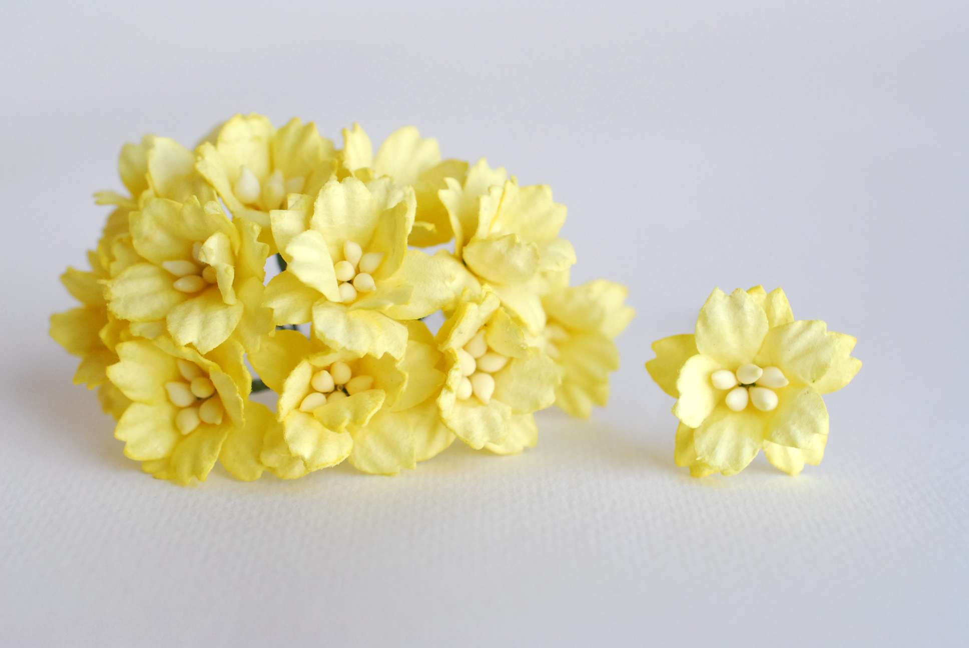 ดอกไม้กระดาษสา ดอกซากุระกระดาษ ขนาดเล็ก ดอกไม้กระดาษสาราคาส่ง ดอกไม้กระดาษสำหรับตกแต่งของชำร่วย งานแต่งงาน ทำช่อดอกไม้ติดอกเจ้าบ่าว ข้อมือดอกไม้เจ้าสาว ขนาด2.0 cm. 50 ดอก สีเหลือง Paper flowers supplies: DIY wedding tools small Cherry blossom (Sakura) 50