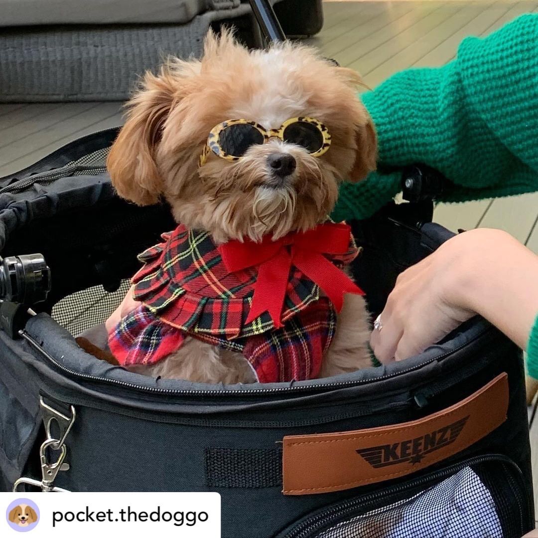 KEENZ AIRPETS รถเข็นสัตว์เลี้ยง 3in1 กระเป๋าใส่สัตว์เลี้ยง(พันธุ์เล็ก)