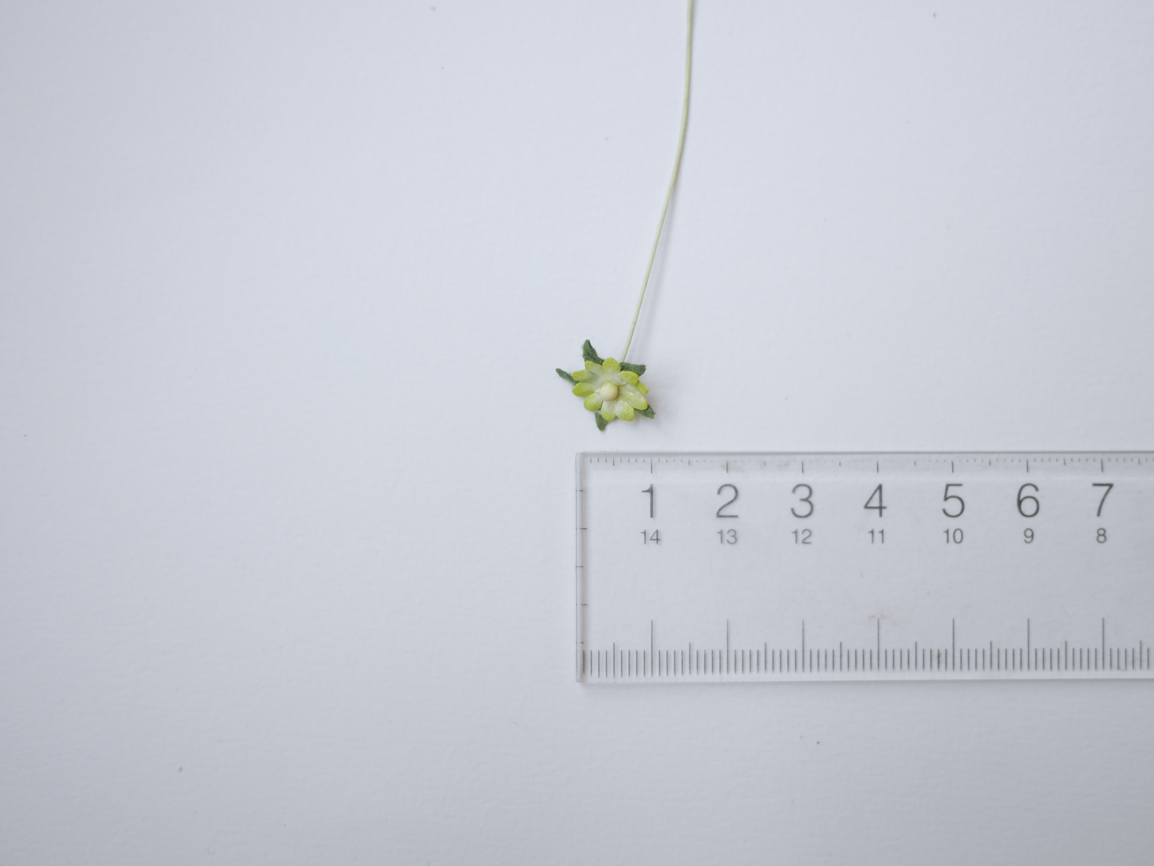 ดอกไม้กระดาษสา ดอกไม้กระดาษสาราคาส่ง ดอกไม้กระดาษสำหรับตกแต่ง งานแต่งงาน หรือติดของชำร่วย ดอกเดซี่ 100 ดอก ขนาด 0.8 cm. สีเขียวอ่อนปัด Small Paper Flower with stem, 100 pcs., size 0.8 cm., daisy flowers 2 layers, green brush color.