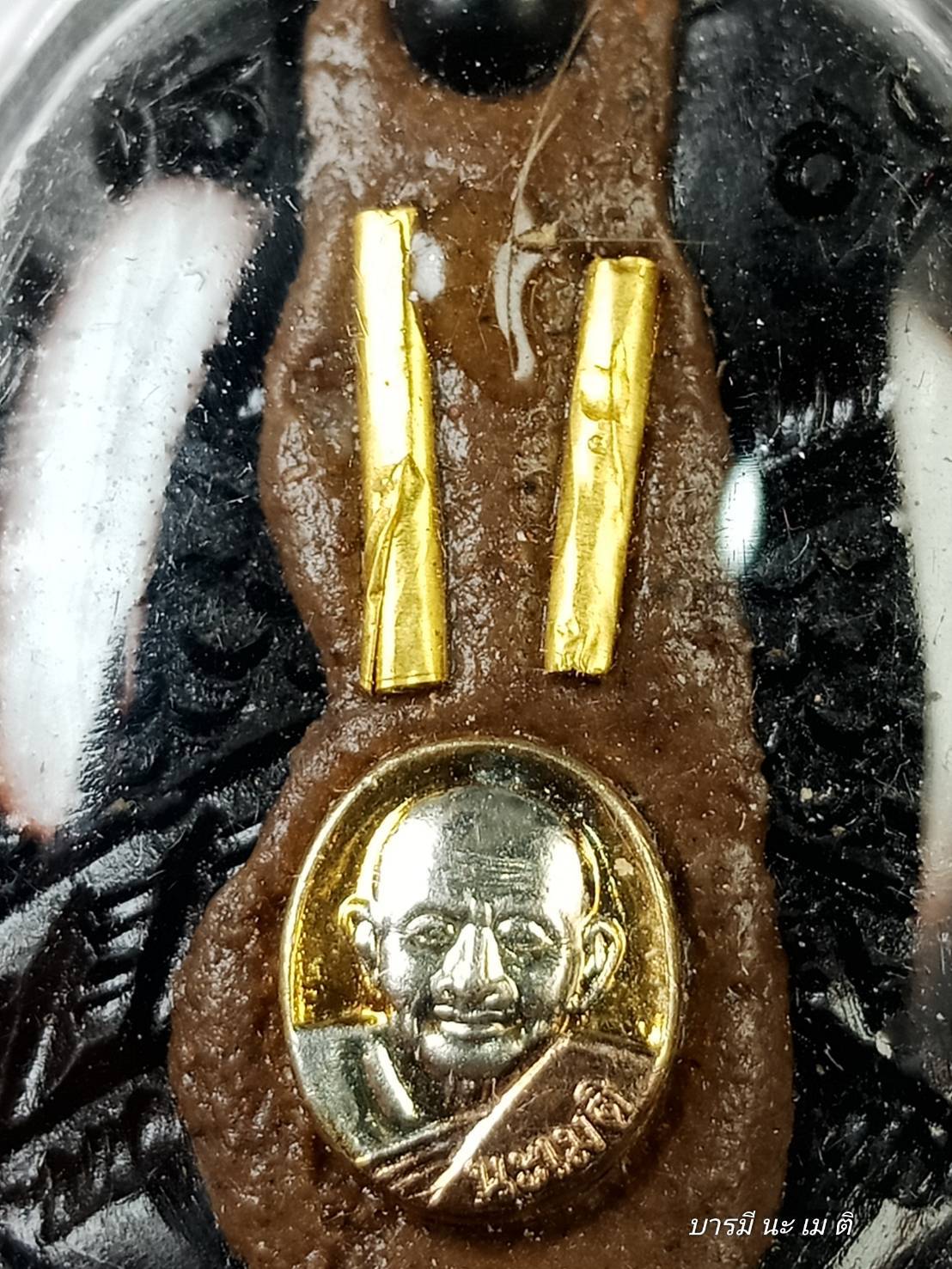 สาริกาไม้งิ้วดำ