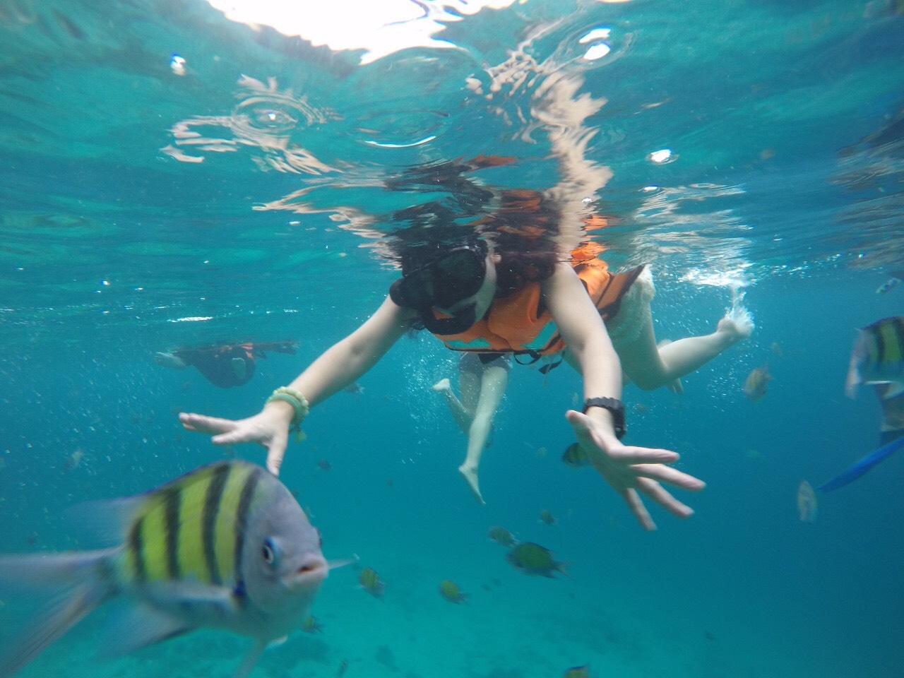 ทัวร์เกาะพีพี เรือเฟอรี่