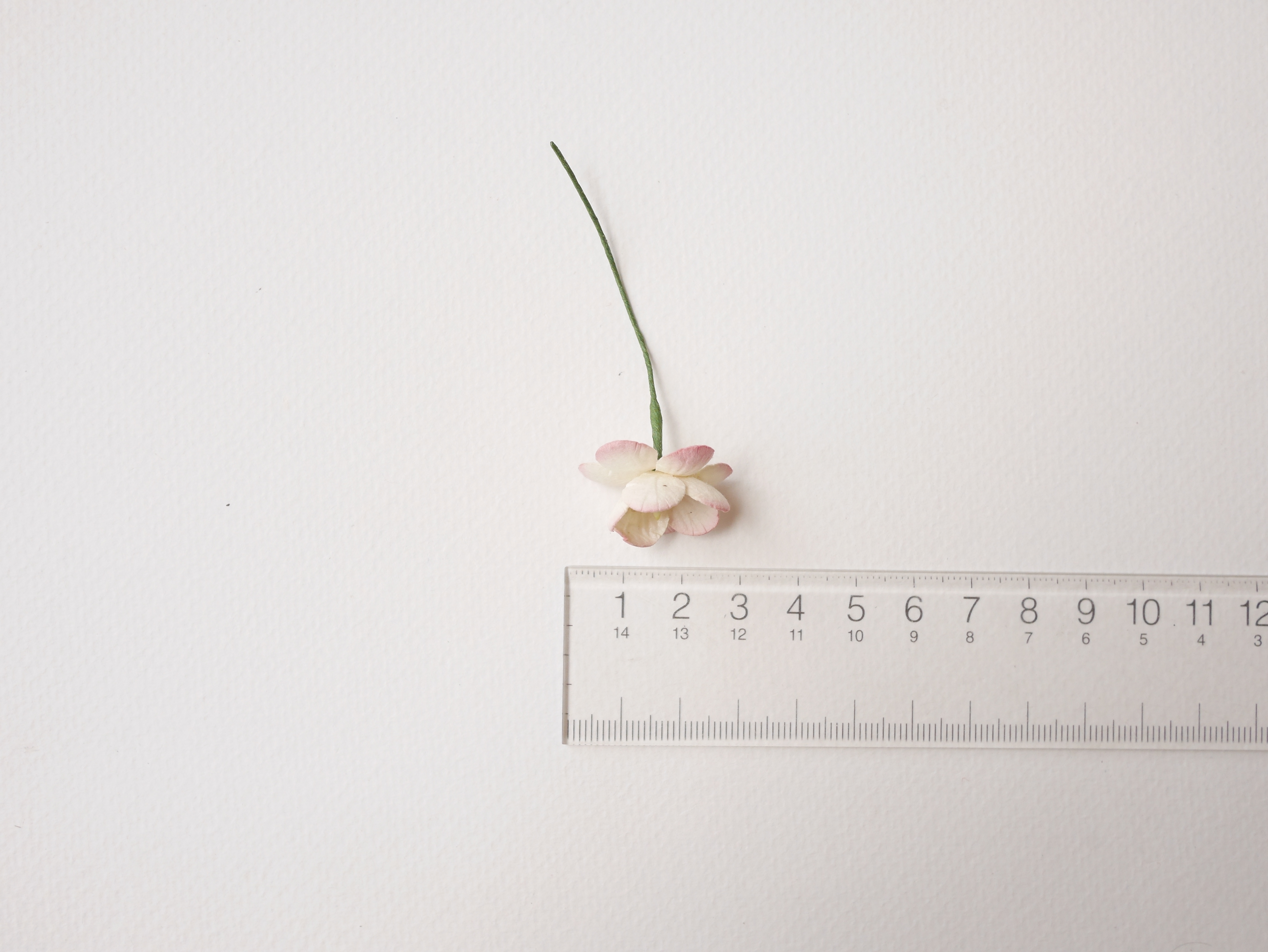 ดอกไม้กระดาษสา ดอกซากุระกระดาษ ดอกไม้กระดาษสาราคาส่ง ดอกไม้กระดาษสำหรับตกแต่งของชำร่วย งานแต่งงาน ทำช่อดอกไม้ติดอกเจ้าบ่าว ข้อมือดอกไม้เจ้าสาว ขนาด2.5 cm. 50 ดอก สีเบอรี่ปัดครีม Paper flowers supplies: DIY wedding tools Cherry blossom (Sakura) 50 pcs. siz