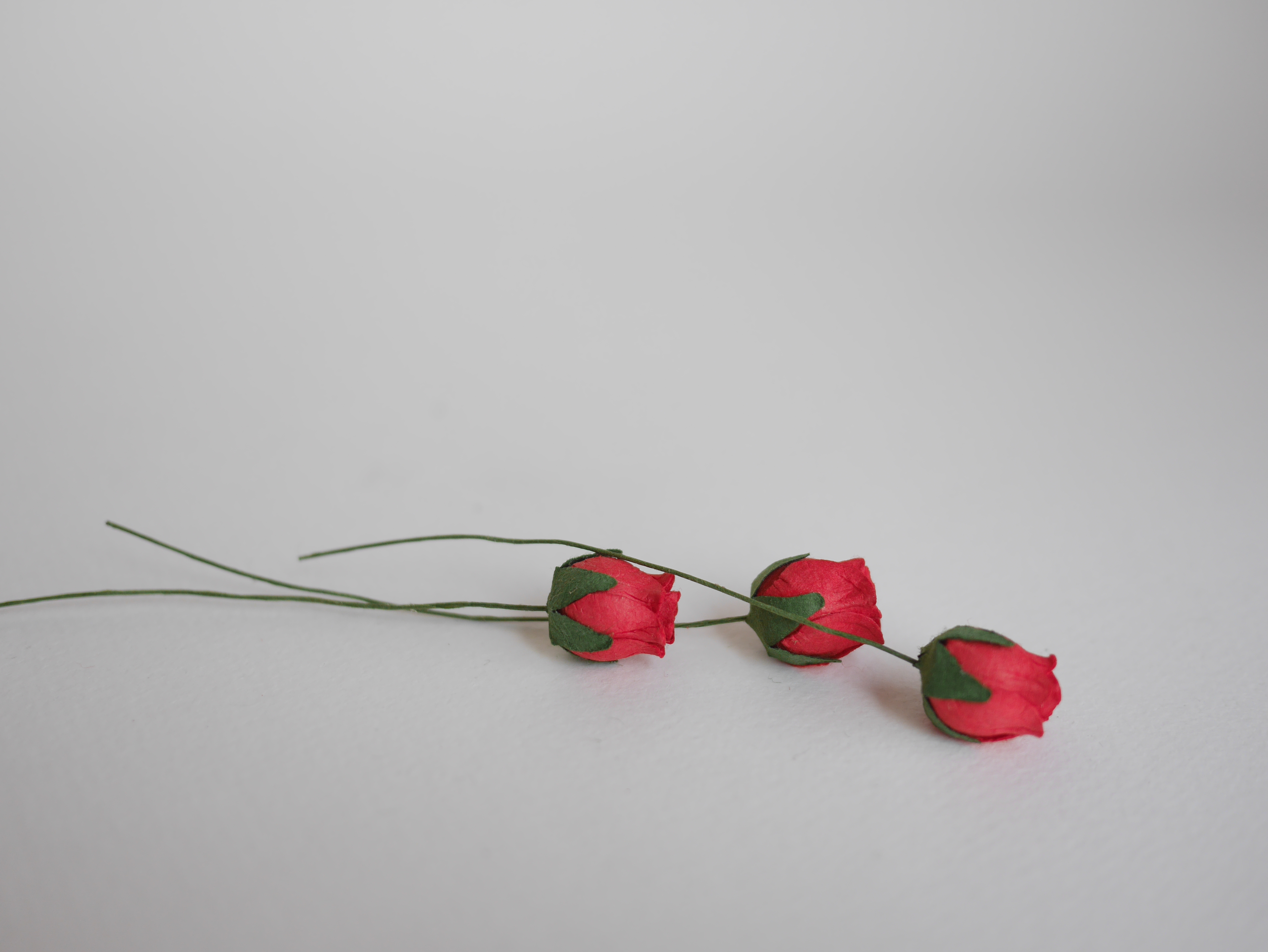 ดอกไม้กระดาษสา ดอกไม้กระดาษสา จตุจักร งานประดิษฐ์ ดอกไม้ทำข้อมือเพื่อนเจ้าสาว แต่งงาน, ดอกกุหลาบตูม 50 ดอก สีแดง color ขนาด 1.5 cm. paper flowers, budding roses flower 1.5 cm. 50 pieces. red color.