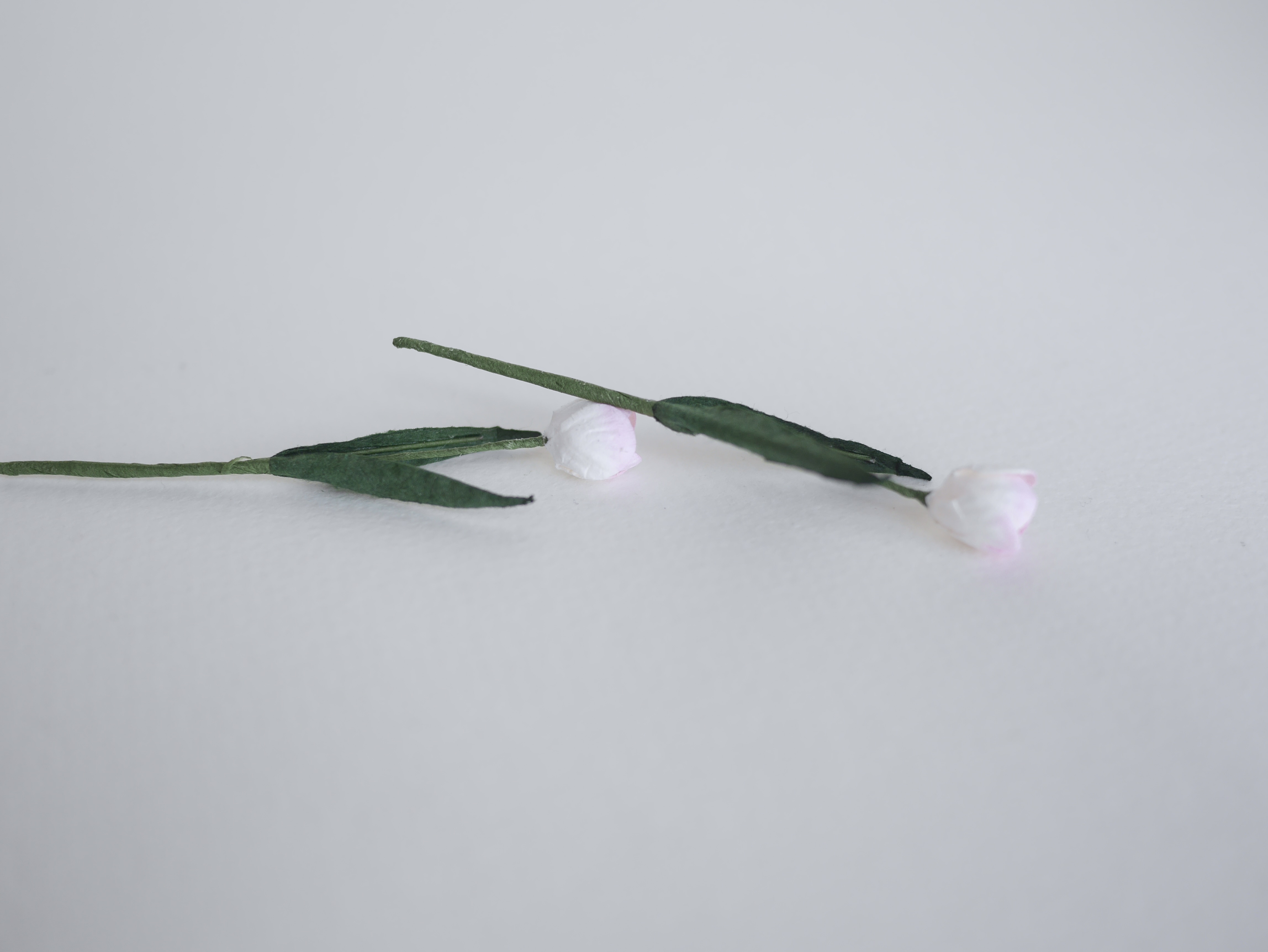 ดอกไม้ประดิษฐ์, ดอกไม้กระดาษสา, ดอกtulips, ดอกทิวลิปส์, ก้านสีเขียว งานประดิษฐ์ตกแต่งของชำร่วย,ทำการ์ดรับเชิญ,ช่อดอกไม้ขนาดเล็ก, ขนาด 1.5 cm. สีชมพูอ่อนปัดขาว