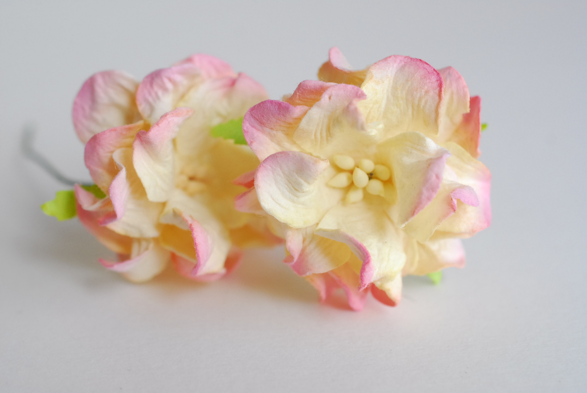 ดอกไม้กระดาษสา ราคาส่ง, ดอกการเดนเนียกระดาษสา ดอกไม้ประดิษฐ์ ตกแต่งงานแต่งงาน ประดิษฐ์ข้อมือเพื่อนเจ้าสาว ขนาด 3.5 cm., สำหรับของชำร่วย, งานแต่งงาน, ดอกไม้ทำข้อมือเจ้าสาว สีชมพูปัดครีม จำนวน 25 ดอก Paper flower, 25 Pieces mulberry gardenia flowers supplie