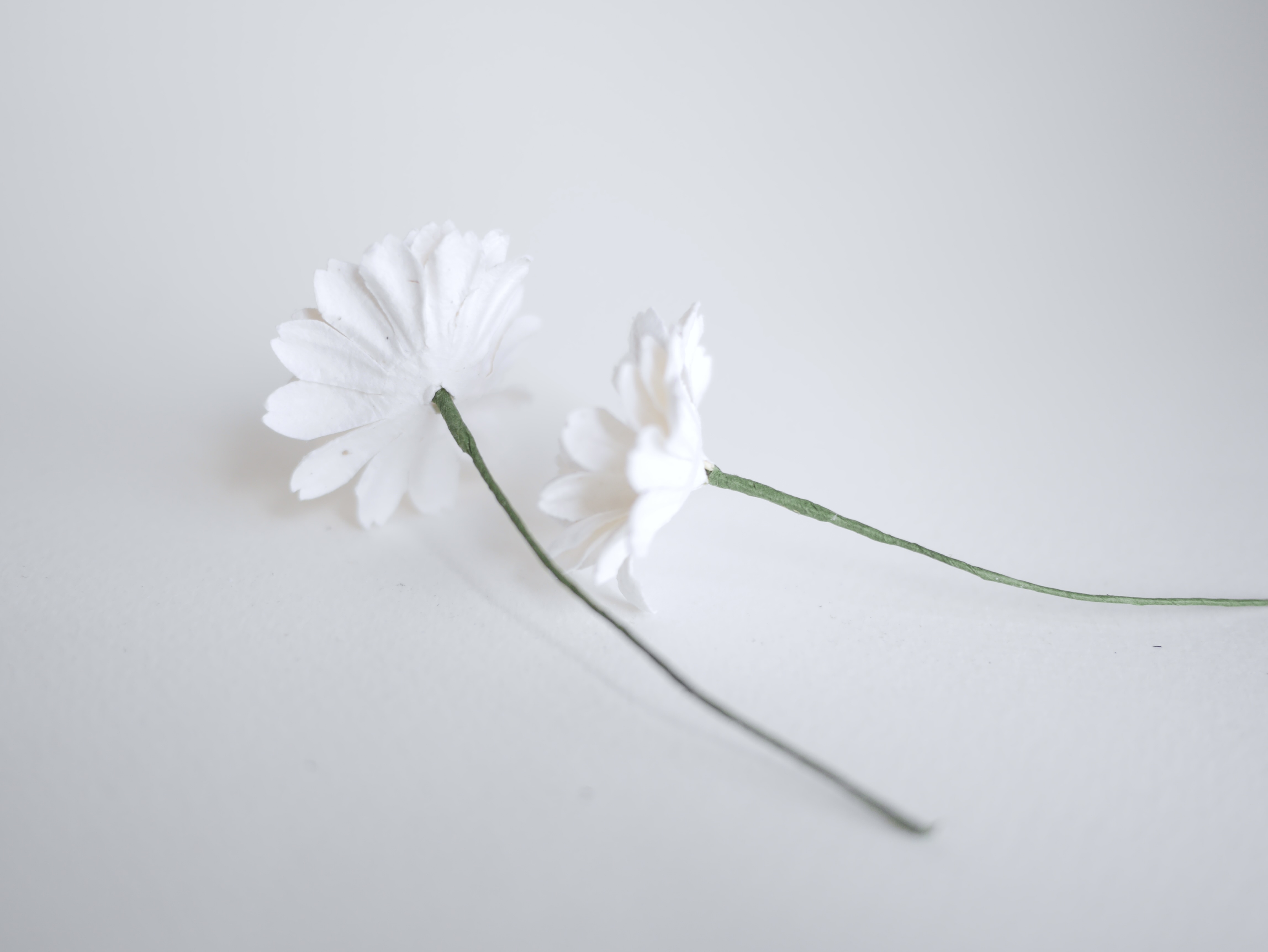 ดอกไม้กระดาษสา ดอกไม้ประดิษฐ์จากกระดาษสา ดอกเดซี่ ดอกไม้กระดาษสาขายส่ง ดอกไม้ประดิษฐ์ ดอกไม้ทำข้อมือเพื่อนเจ้าสาว ดอก daisy ขนาด 3.5 cm. จำนวน 25 ดอก สีขาว Paper Flower, 25 Daisy Flowers, ivory color, size 4.5 cm., white pollen.