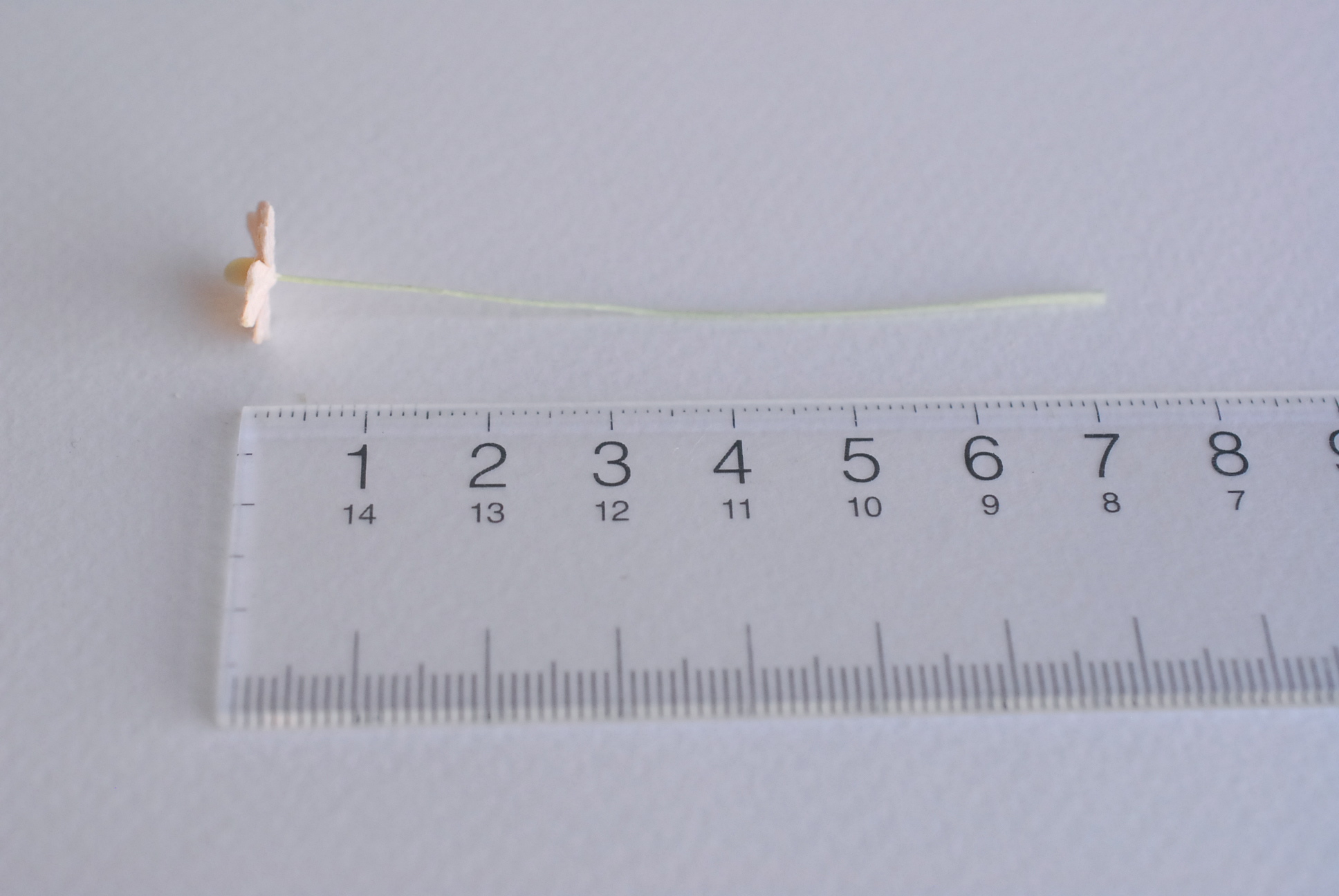 ดอกไม้กระดาษสา ดอกไม้กระดาษสาราคาส่ง ดอกไม้กระดาษสำหรับตกแต่ง งานแต่งงาน หรือติดของชำร่วย ดอกไม้จิ๋ว 100 ดอก ขนาด 1 cm. สีพีชพาสเทล Small Paper Flower with stem, , 100 pcs., size 1 cm., small creeping ladies flowers 1 layer, peach pastel color.