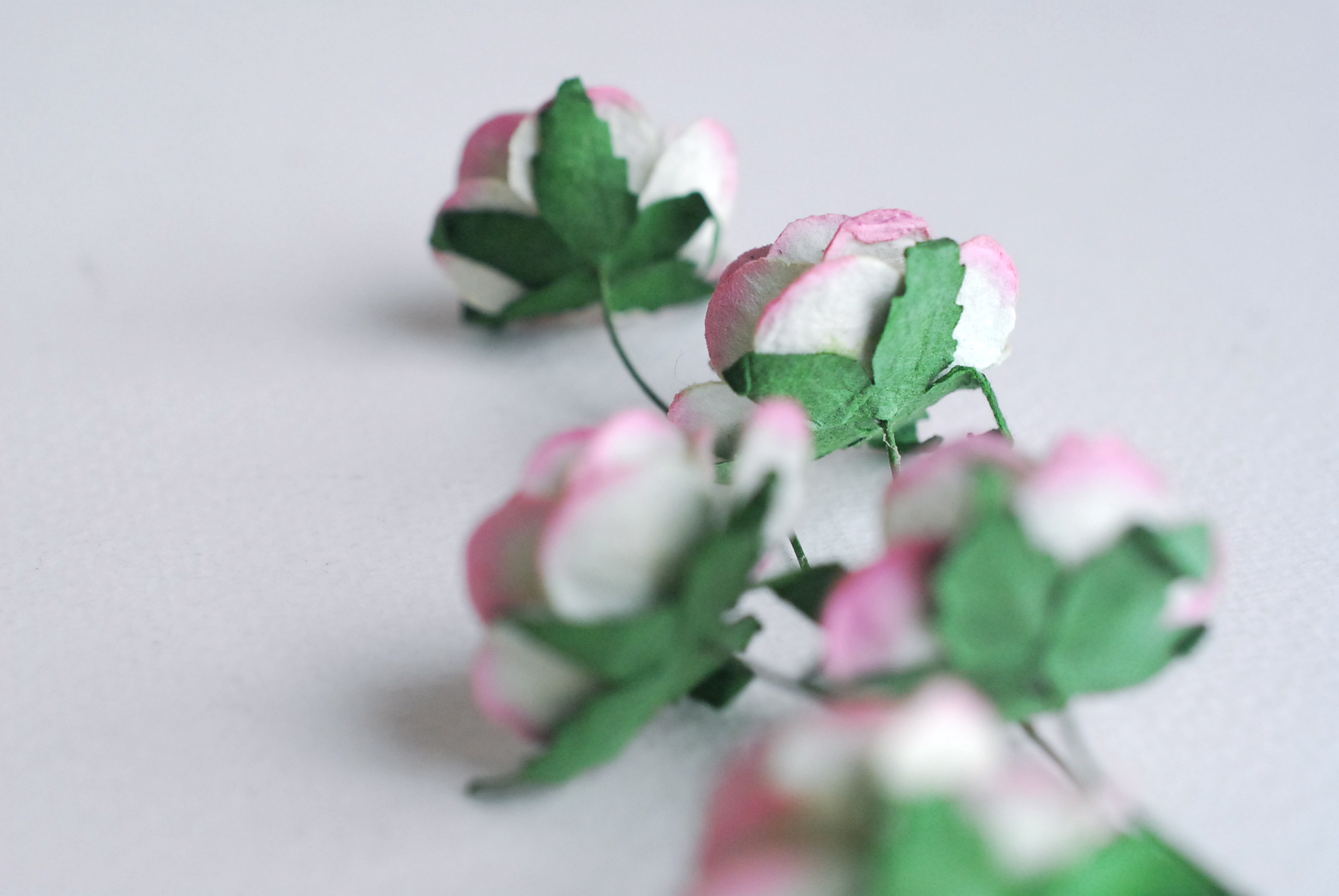 ดอกไม้กระดาษสา ดอกไม้กระดาษสา ราคาส่ง, ดอกกุหลาบกระดาษสา ดอกไม้ประดิษฐ์ สำหรับตกแต่ง หรืองานแต่งงาน สีเขียวปัดชมพูตุ่นขนาด 2.5 cm. จำนวน 50 ดอก Paper flowers, handmade flowers, small roses paper size 2.5 cm. 50 pieces, green brush pink color.