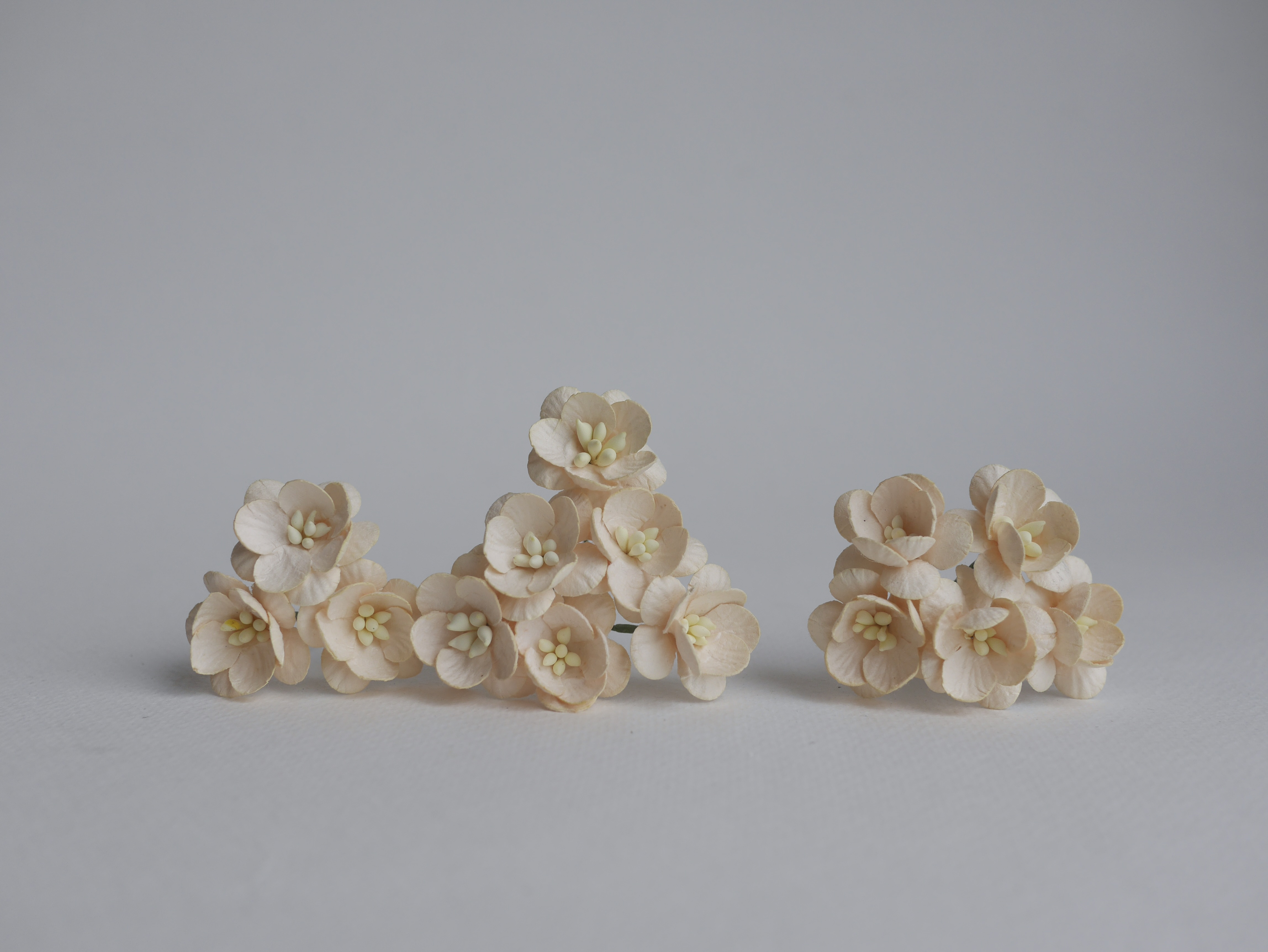 ดอกไม้กระดาษสา ดอกซากุระกระดาษ ขนาดเล็ก ดอกไม้กระดาษสาราคาส่ง ดอกไม้กระดาษสำหรับตกแต่งของชำร่วย งานแต่งงาน ทำช่อดอกไม้ติดอกเจ้าบ่าว ข้อมือดอกไม้เจ้าสาว ขนาด 2.5 cm. 50 ดอก สีเหลืองไข่ Paper flowers supplies: DIY wedding tools small Cherry blossom (Sakura)