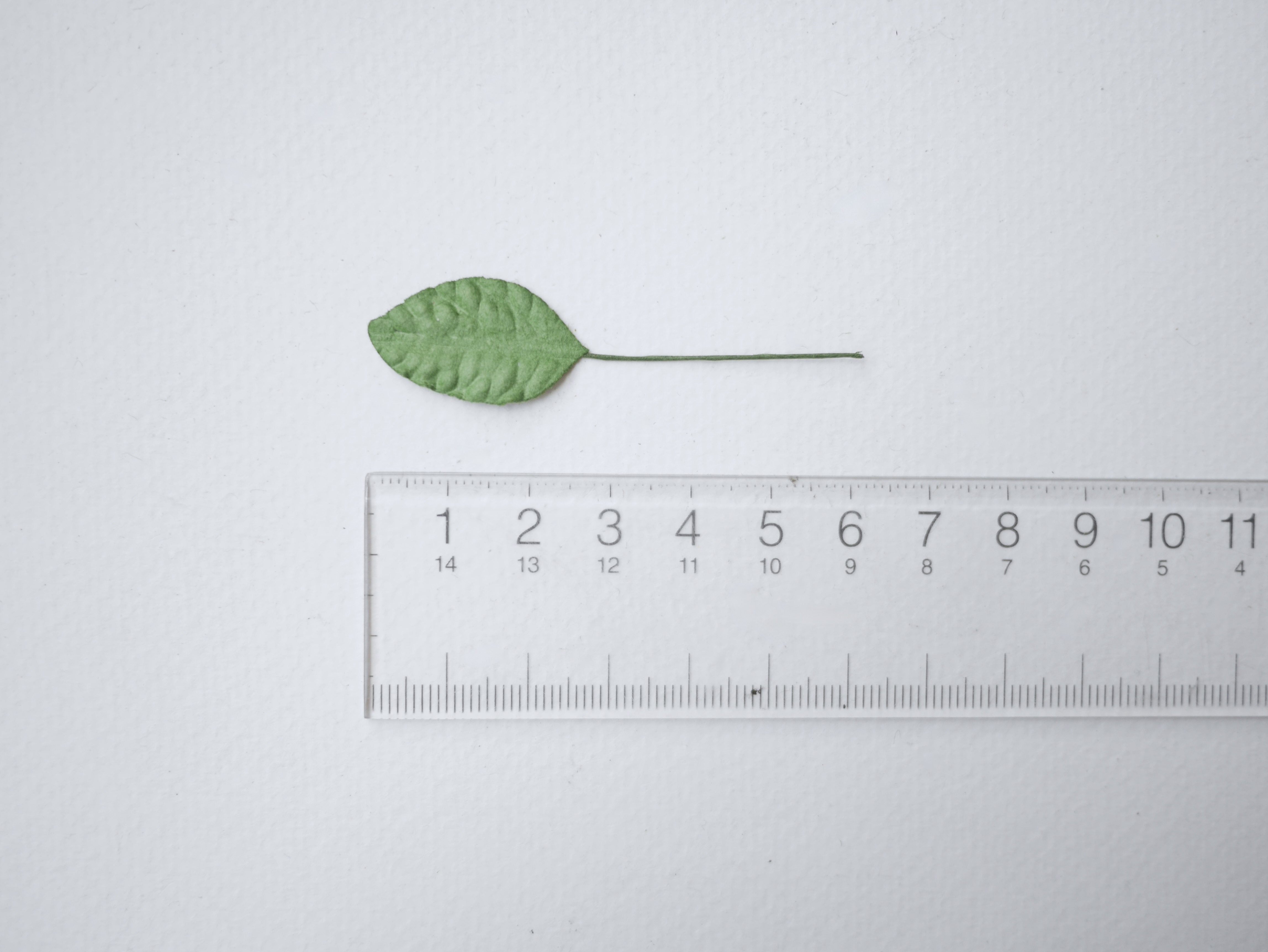 ใบไม้กระดาษ ใบไม้กระดาษสา ราคาส่ง,ใบไม้กุหลาบกระดาษ สำหรับดอกมะลิกระดาษสา ใบไม้ประดิษฐ์ สำหรับตกแต่ง หรืองานแต่งงาน สีเขียว ขนาด 2.5x1.5 cm. จำนวน 100 ใบ