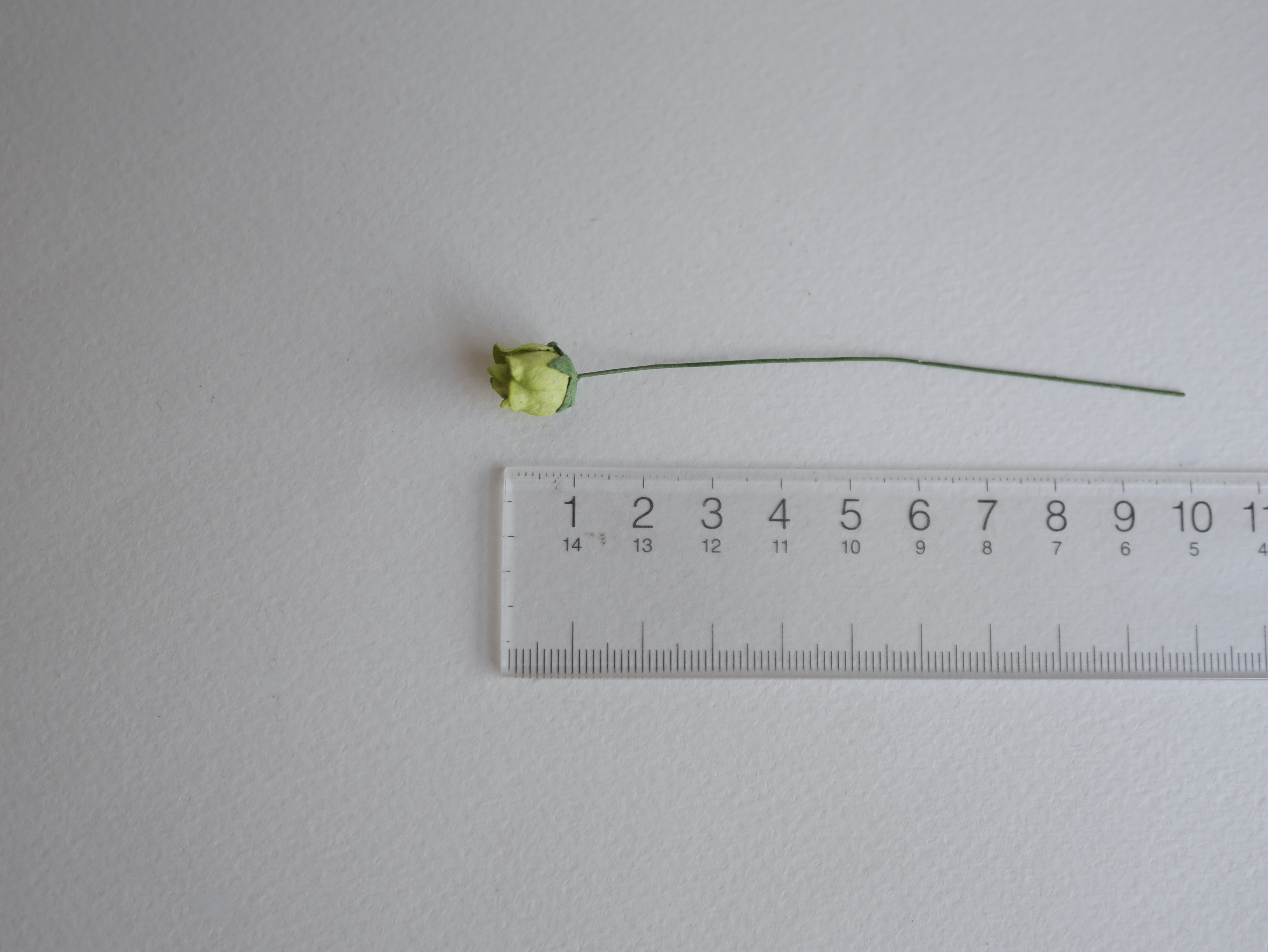 ดอกไม้กระดาษสา ดอกไม้กระดาษสา จตุจักร งานประดิษฐ์ ดอกไม้ทำข้อมือเพื่อนเจ้าสาว แต่งงาน, ดอกกุหลาบตูม 0.8x1 cm. 25 ดอก สีเขียว paper flowers, budding roses flower 0.8x1 cm. 25 pieces green color.