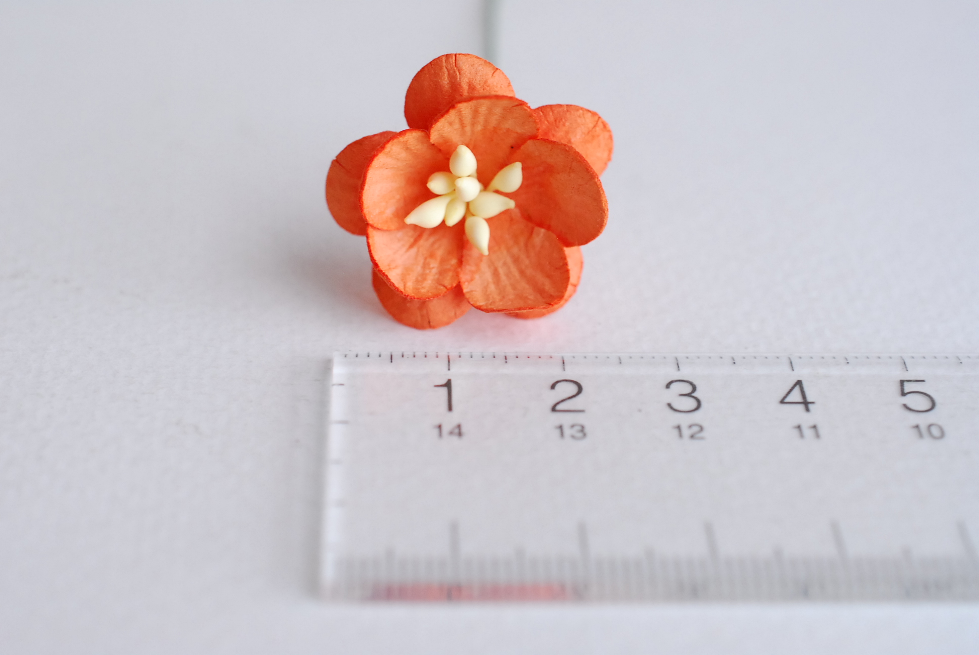 ดอกไม้กระดาษสา ดอกซากุระกระดาษสีส้ม ดอกไม้กระดาษสาราคาส่ง ดอกไม้กระดาษสำหรับตกแต่งของชำร่วย งานแต่งงาน ทำช่อดอกไม้ติดอกเจ้าบ่าว ข้อมือดอกไม้เจ้าสาว ขนาด2.5 cm. 50 ดอก Paper flowers supplies: DIY wedding tools Cherry blossom (Sakura) 50 pcs. size 2.5 cm.