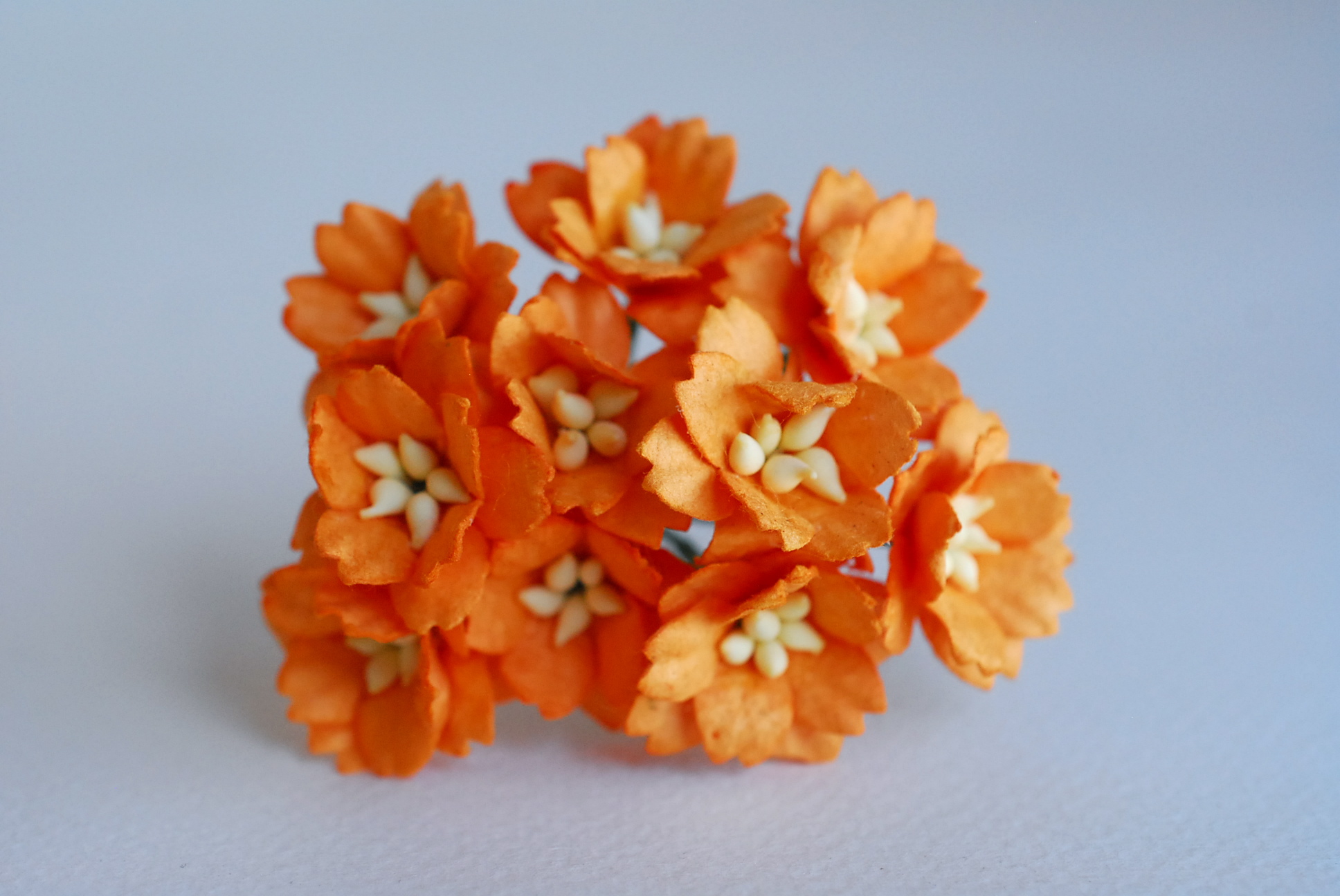 ดอกไม้กระดาษสา ดอกซากุระกระดาษ ขนาดเล็ก ดอกไม้กระดาษสาราคาส่ง ดอกไม้กระดาษสำหรับตกแต่งของชำร่วย งานแต่งงาน ทำช่อดอกไม้ติดอกเจ้าบ่าว ข้อมือดอกไม้เจ้าสาว ขนาด2.0 cm. 50 ดอก สีส้ม Paper flowers supplies: DIY wedding tools small Cherry blossom (Sakura) 50 pcs