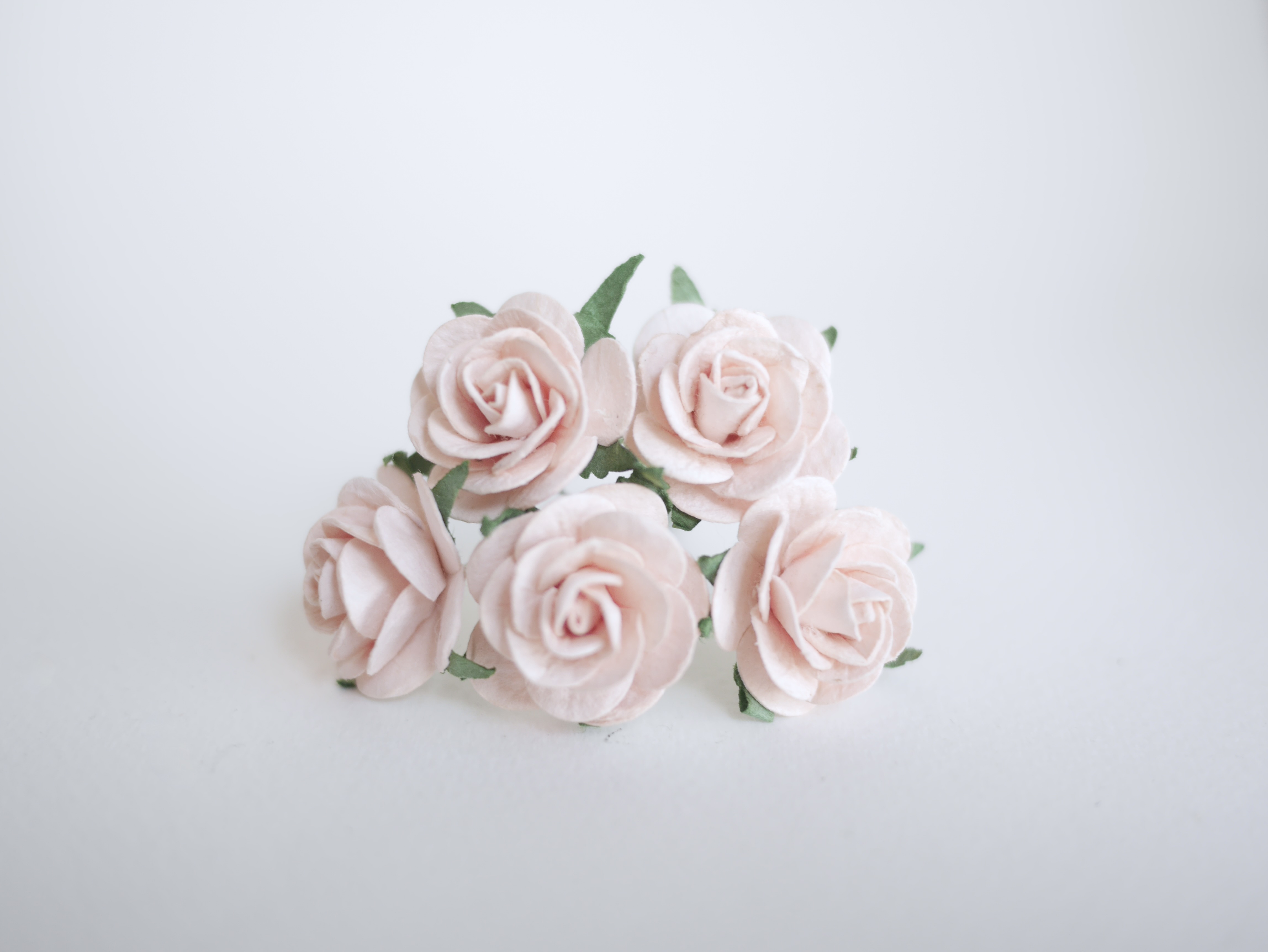 ดอกไม้กระดาษ ดอกไม้กระดาษสา ราคาส่ง,ดอกไม้กุหลาบกระดาษ ดอกกุหลาบกระดาษสา ดอกไม้ประดิษฐ์ สำหรับตกแต่ง หรืองานแต่งงาน สีpeachอ่อน (สีชมพูพีชอ่อน)ขนาด 2.5 cm. จำนวน 50 ดอก