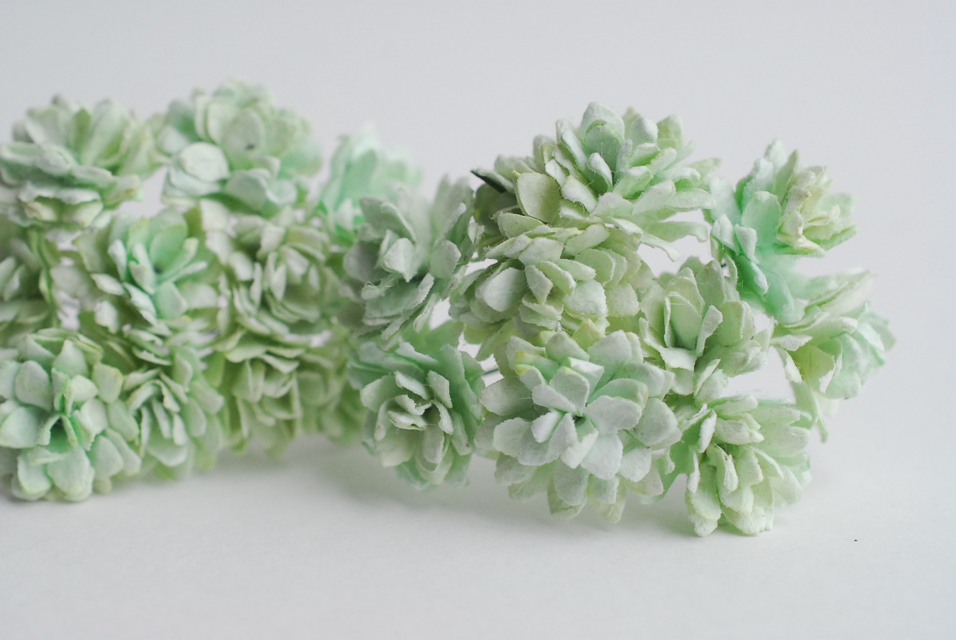 ดอกไม้ประดิษฐ์, ดอกไม้กระดาษสา, ดอก gypsophila, ดอกยิปโซ งานประดิษฐ์ตกแต่งของชำร่วย, ดอกไม้ทำพานพุ่ม,พานพวงมาลัย, พานรับไหว้, ขนาด 2 cm. สีเขียวมิ้นต์