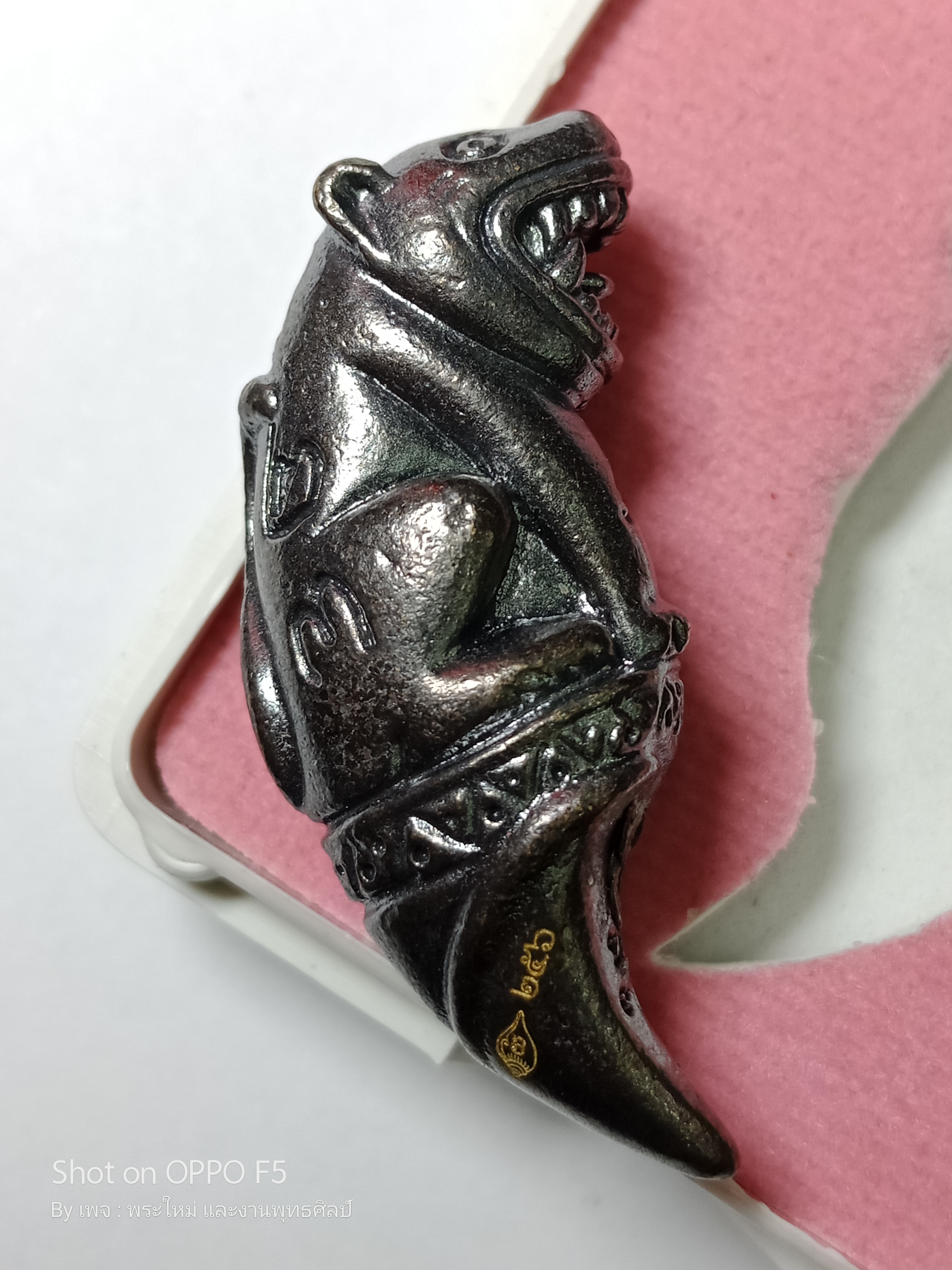 พญาสมิงดำ เนื้อ : ชนวนบังบด อุดว่านเครือร้อยปลาตัวผู้ ตัวเมีย