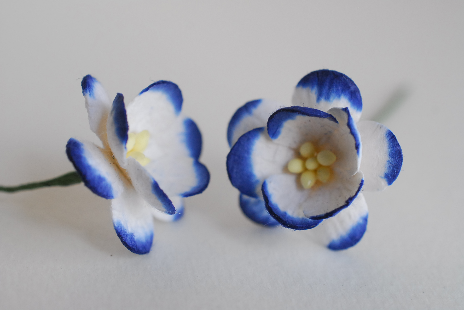 ดอกไม้กระดาษสา ดอกซากุระกระดาษ ดอกไม้กระดาษสาราคาส่ง ดอกไม้กระดาษสำหรับตกแต่งของชำร่วย งานแต่งงาน ทำช่อดอกไม้ติดอกเจ้าบ่าว ข้อมือดอกไม้เจ้าสาว ขนาด2.5 cm. 50 ดอก สีน้ำเงินกรมท่าปัดขาว Paper flowers supplies: DIY wedding tools Cherry blossom (Sakura) 50 pc