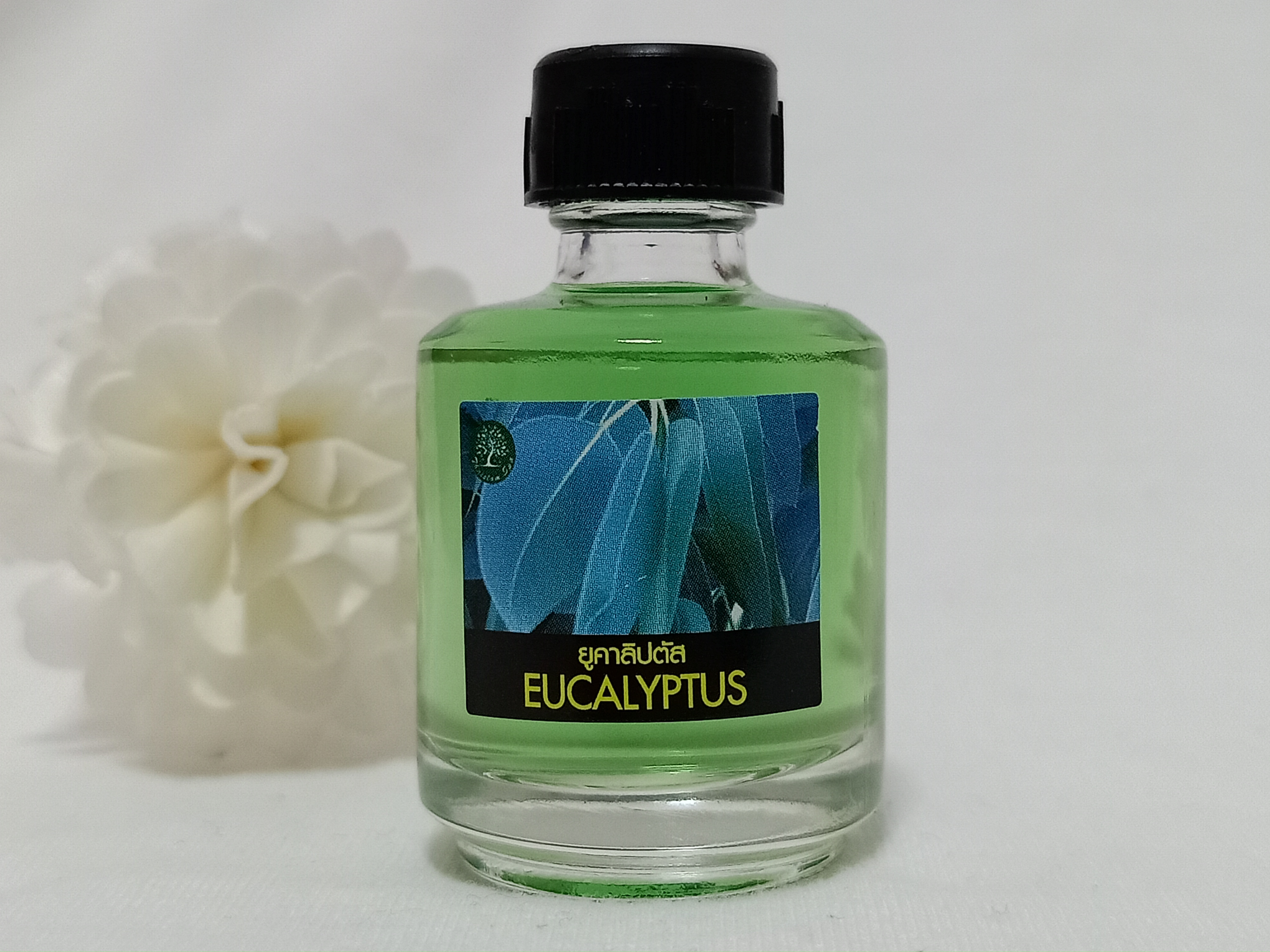 กลิ่น ยูคาลิปตัส 15 ml